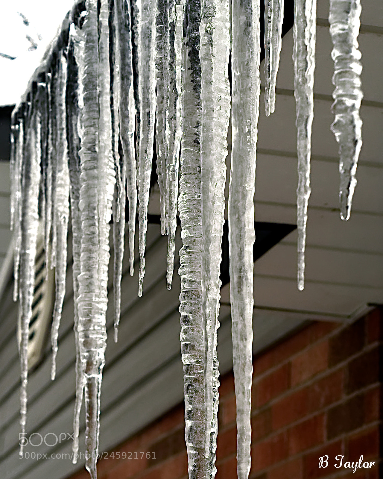Sony SLT-A57 sample photo. Icicle curtain photography