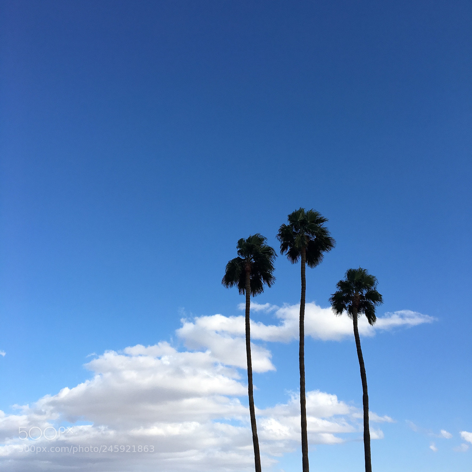 Apple iPhone 6s sample photo. Palm springs sky photography