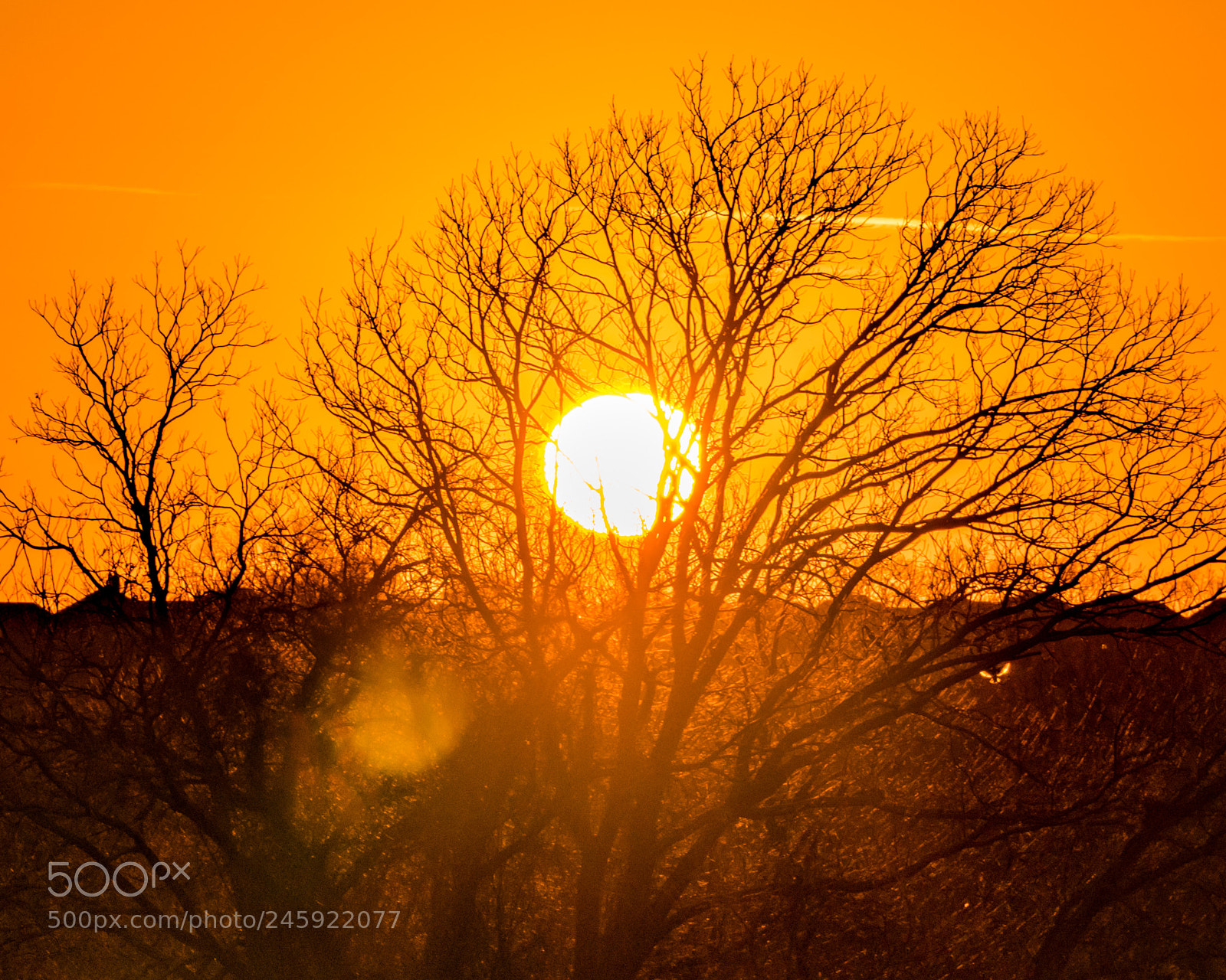 Sony a7R II sample photo. Sunset seasons of change photography