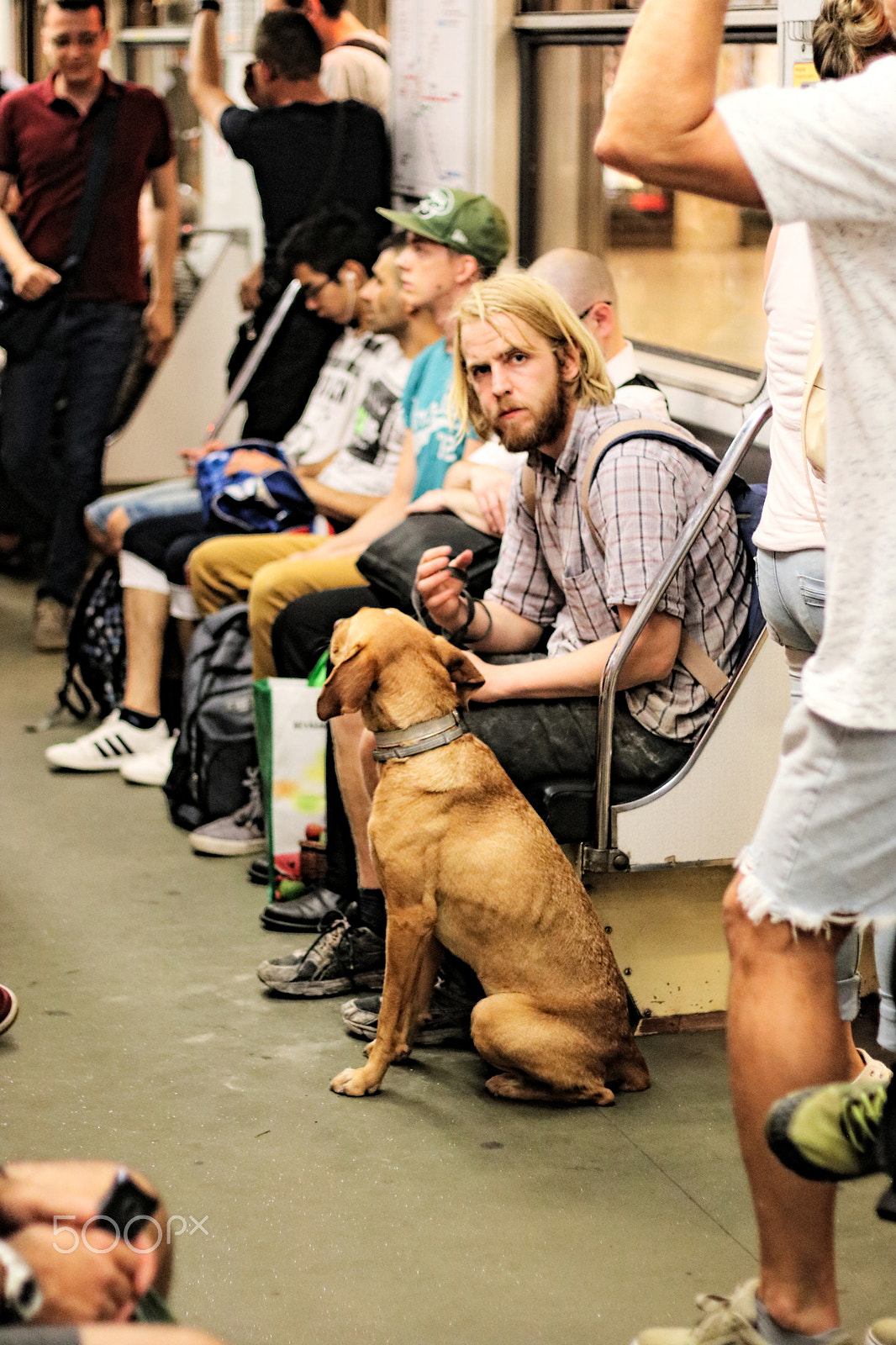 Canon EOS 750D (EOS Rebel T6i / EOS Kiss X8i) sample photo. Man in the metro photography