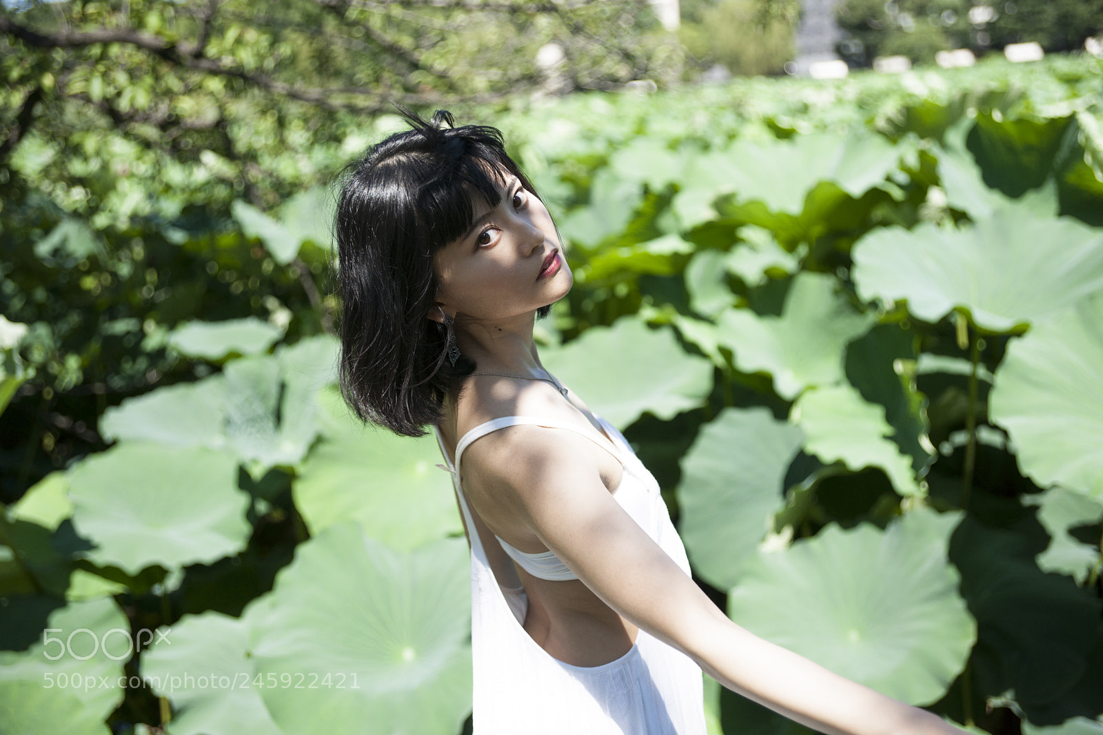 Sony Alpha DSLR-A900 sample photo. Untitled photography