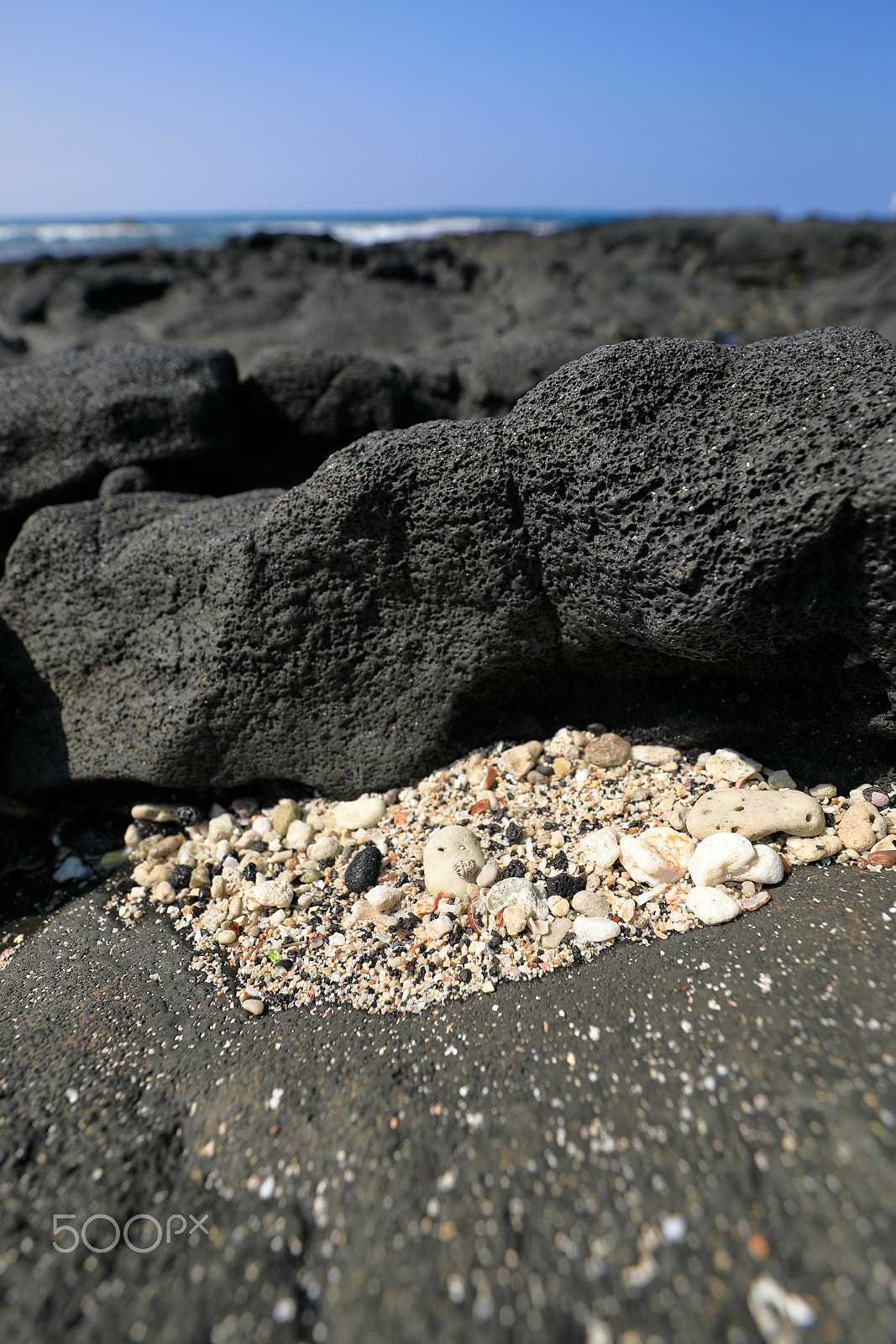 Canon EF 16-35mm F2.8L III USM sample photo. Coral and lava photography
