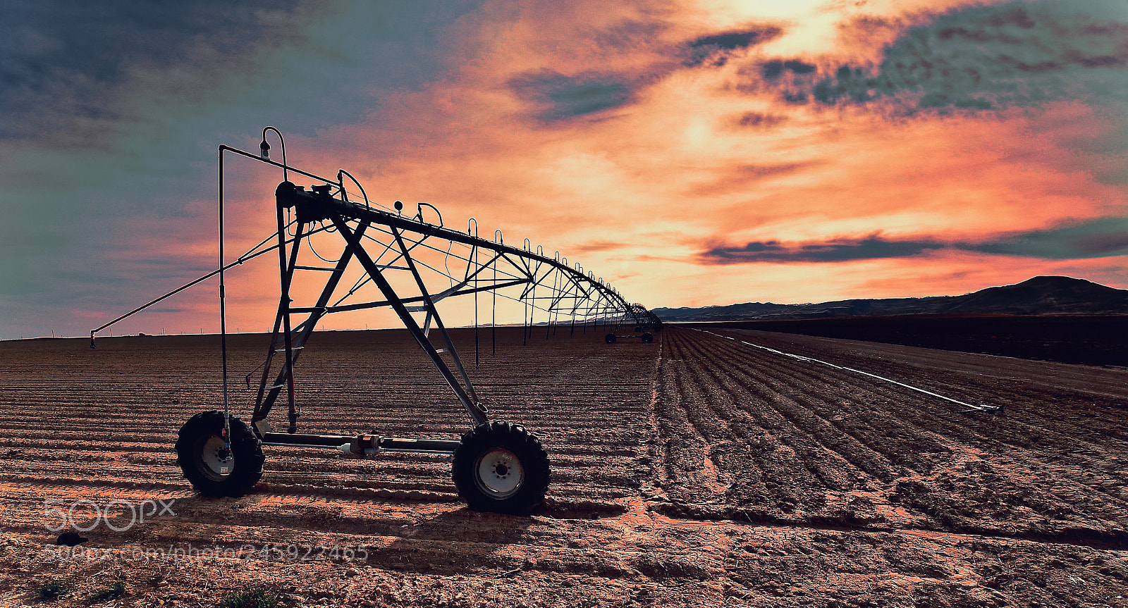 Nikon D500 sample photo. Farm light photography