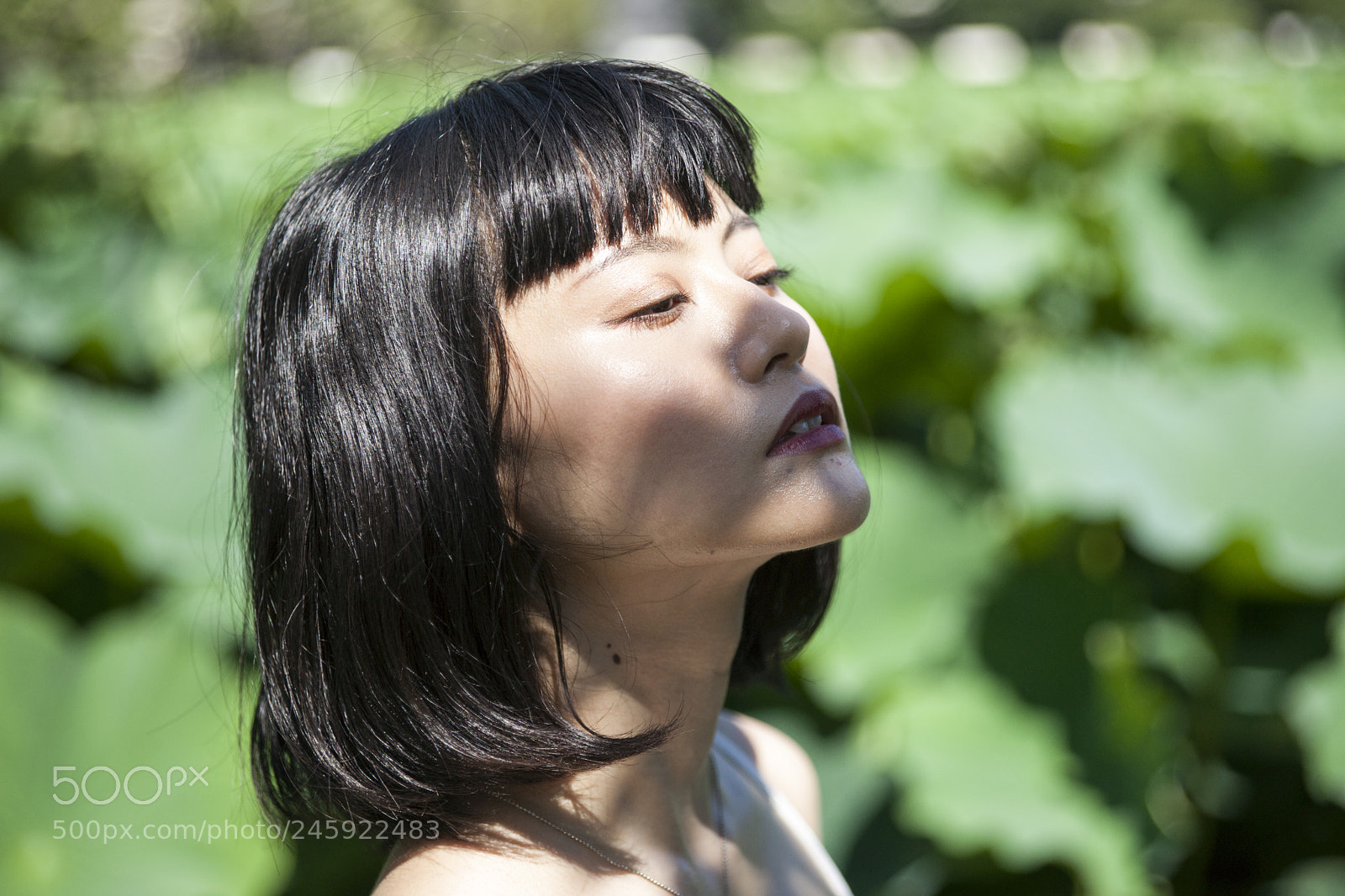 Sony Alpha DSLR-A900 sample photo. Untitled photography