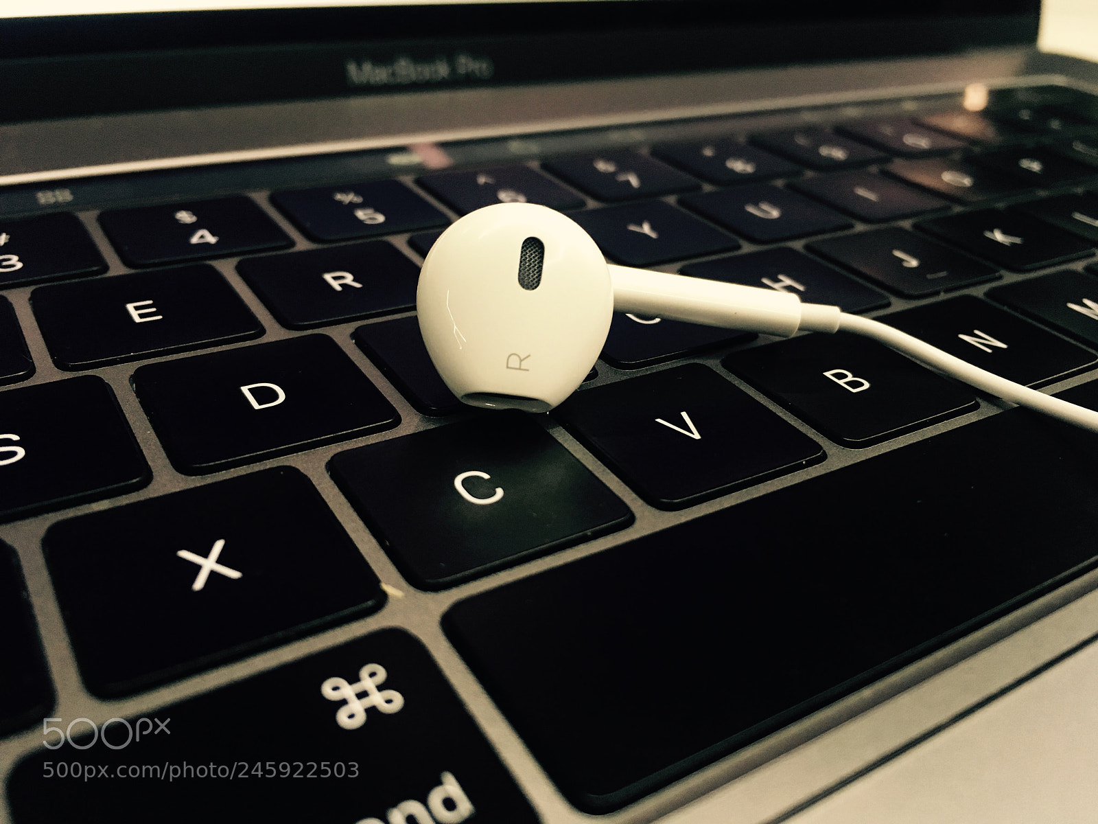 Apple iPhone SE sample photo. Untitled photography