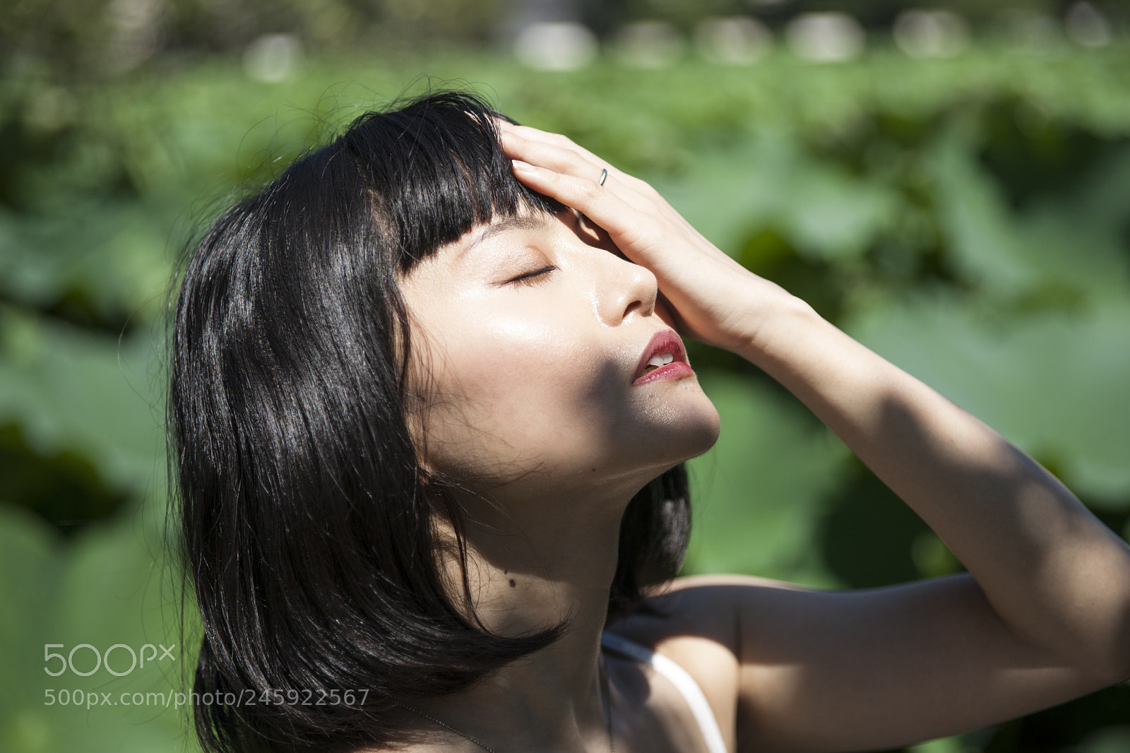 Sony Alpha DSLR-A900 sample photo. Untitled photography