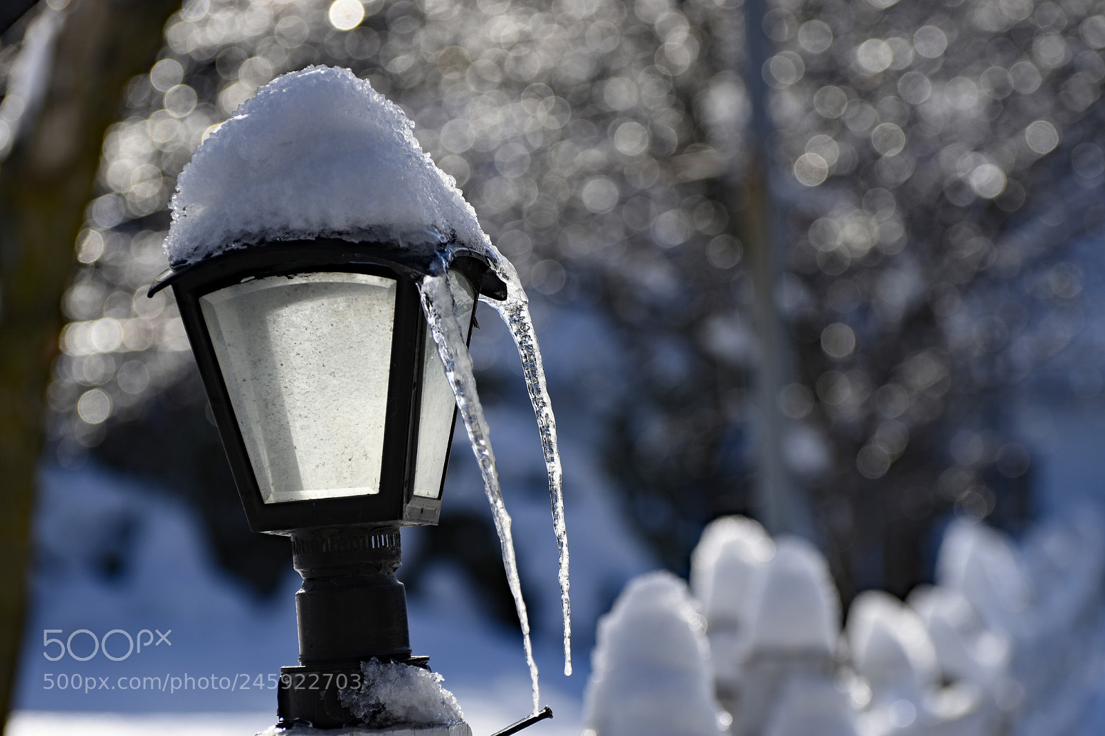 Nikon D7200 sample photo. Candle in the wind..... photography
