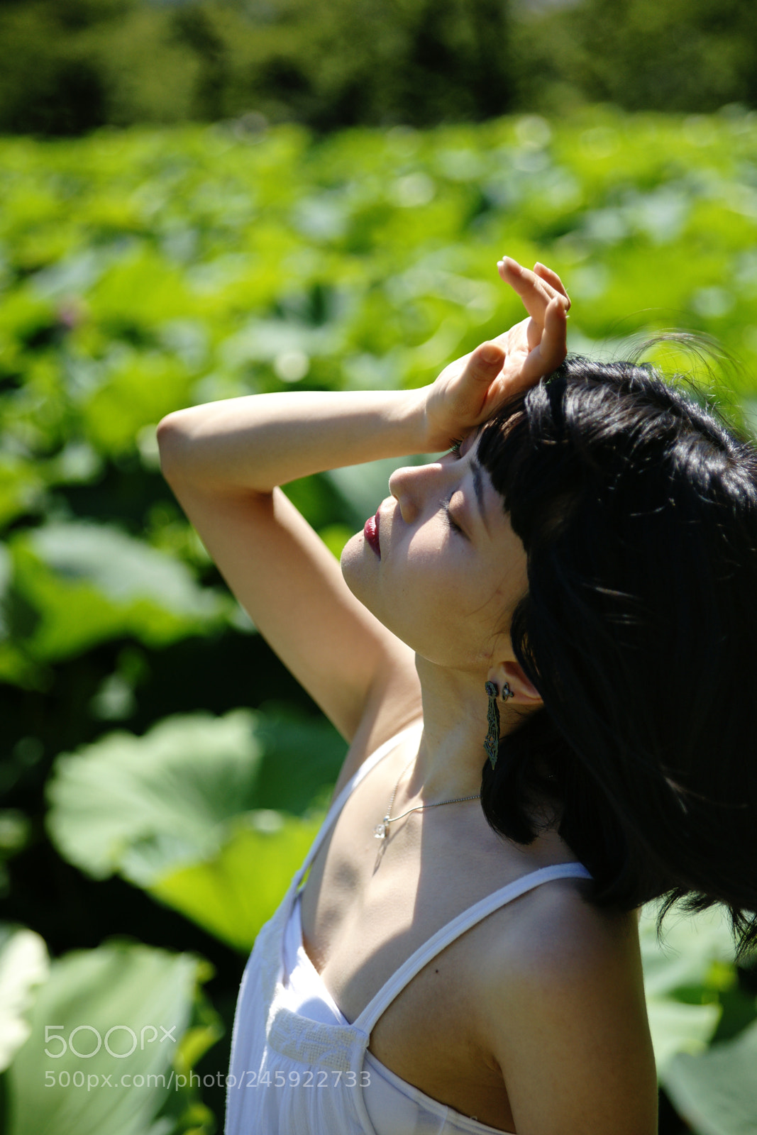 Sony Alpha DSLR-A900 sample photo. Untitled photography