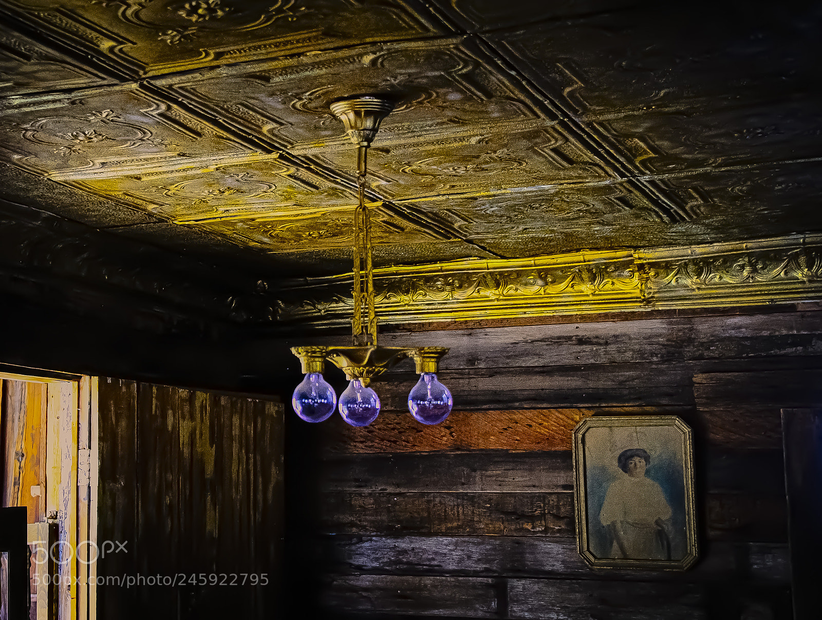 Nikon D4 sample photo. Ceiling and chandelier detail photography