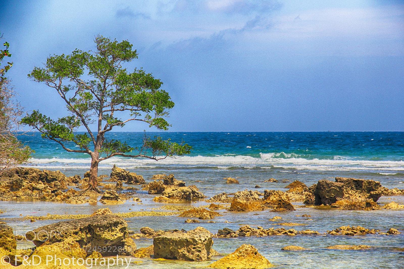 Canon EOS 550D (EOS Rebel T2i / EOS Kiss X4) sample photo. Photo landscape photography