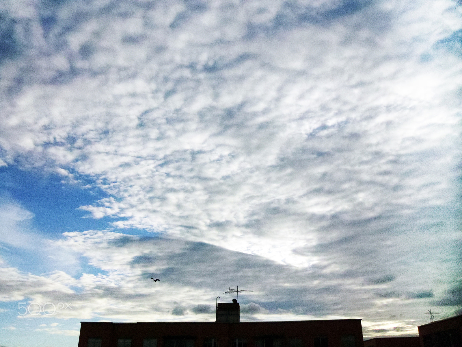 Samsung PL200/VLUU PL200 sample photo. Cielo photography
