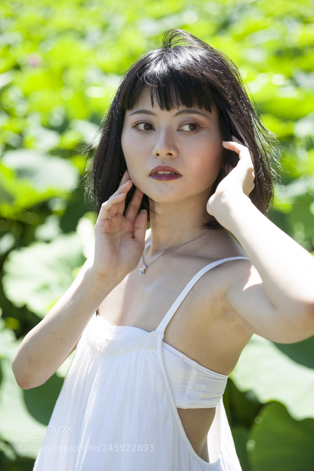 Sony Alpha DSLR-A900 sample photo. Untitled photography