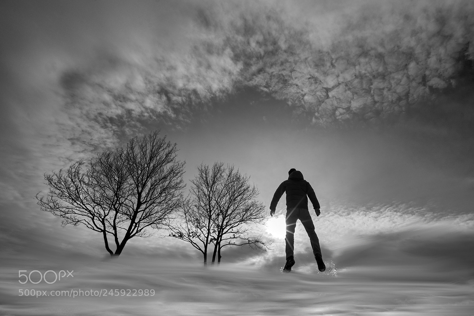 Sony a7 II sample photo. A7m04868_1.jpg photography