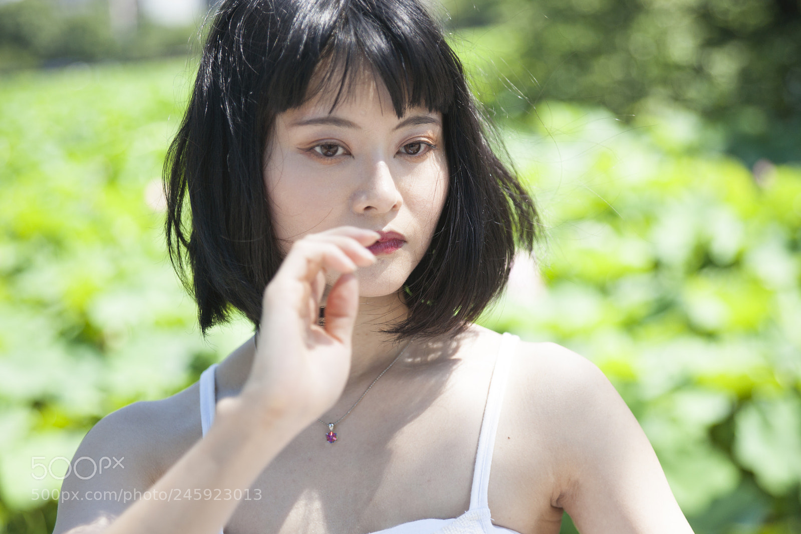 Sony Alpha DSLR-A900 sample photo. Untitled photography