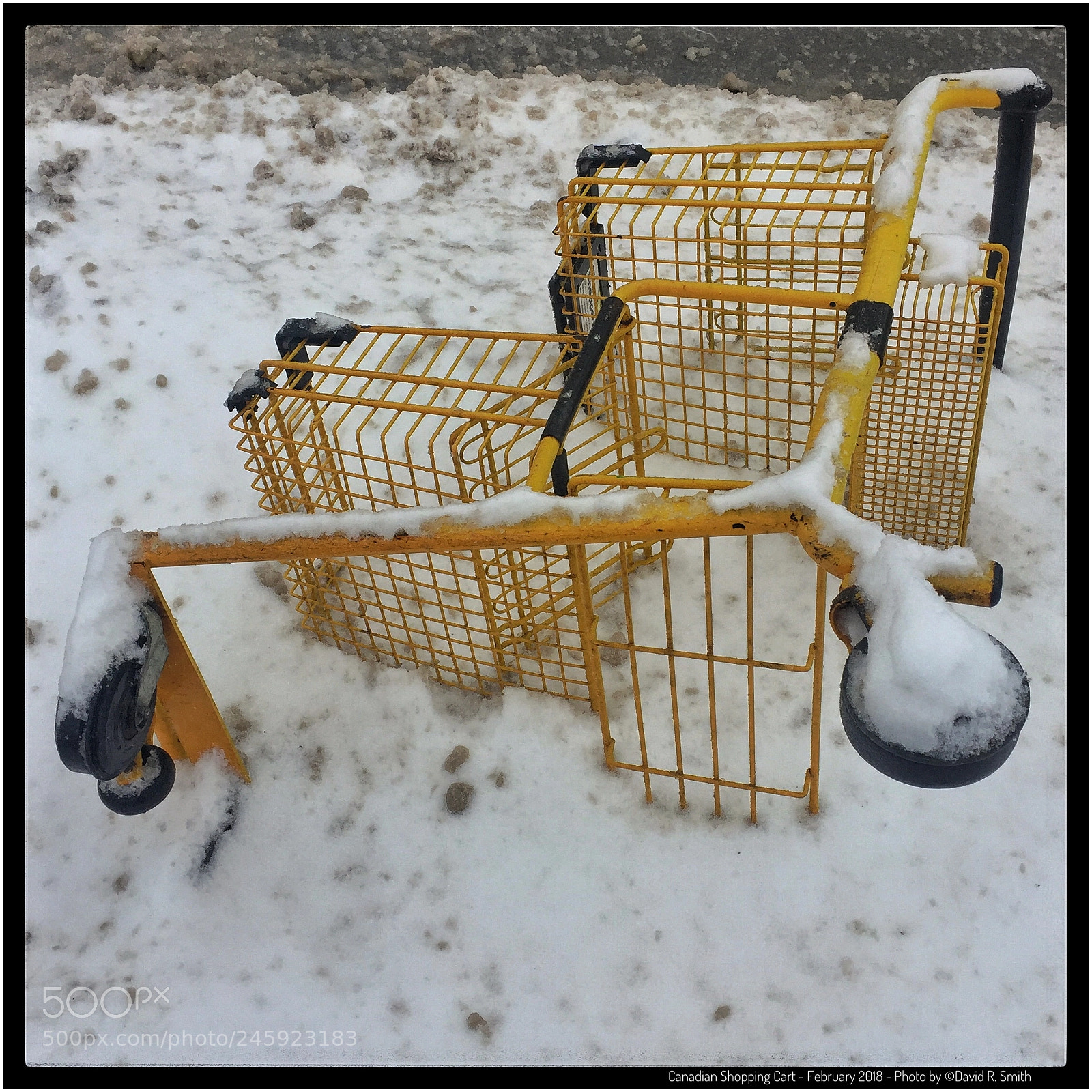 Apple iPhone 6 Plus sample photo. Canadian shopping cart photography