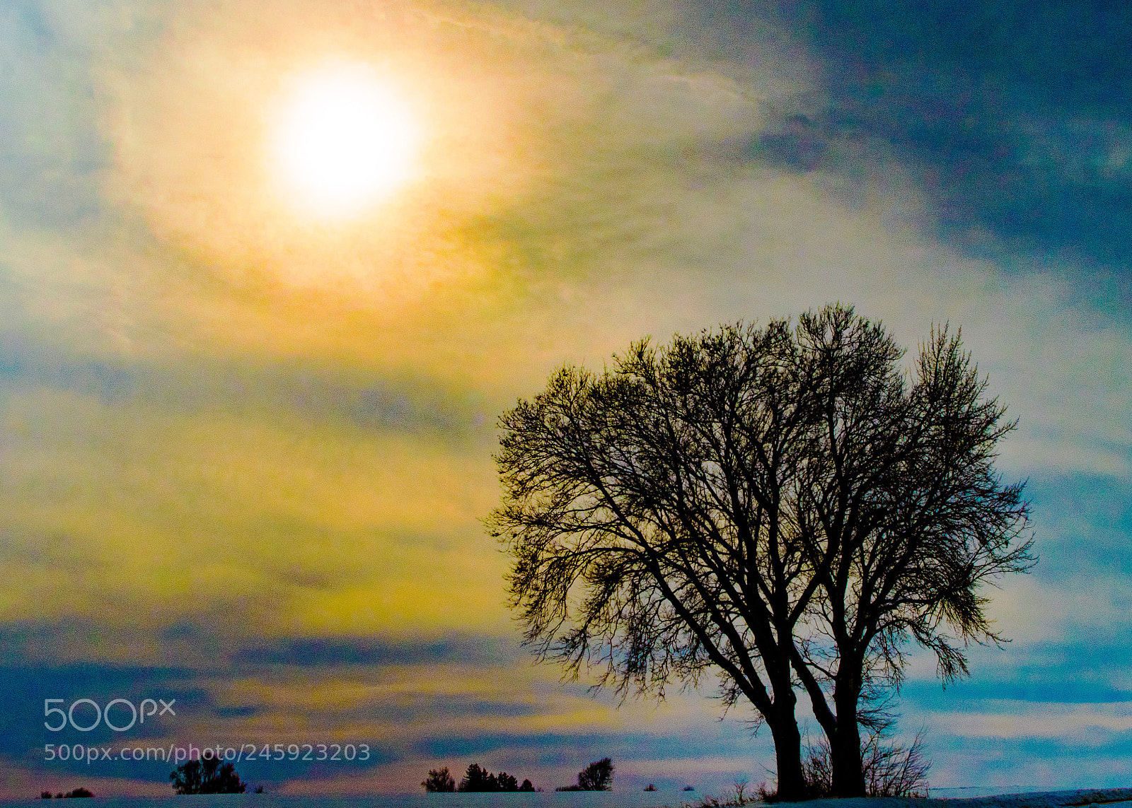 Pentax K-S2 sample photo. Winter tree photography