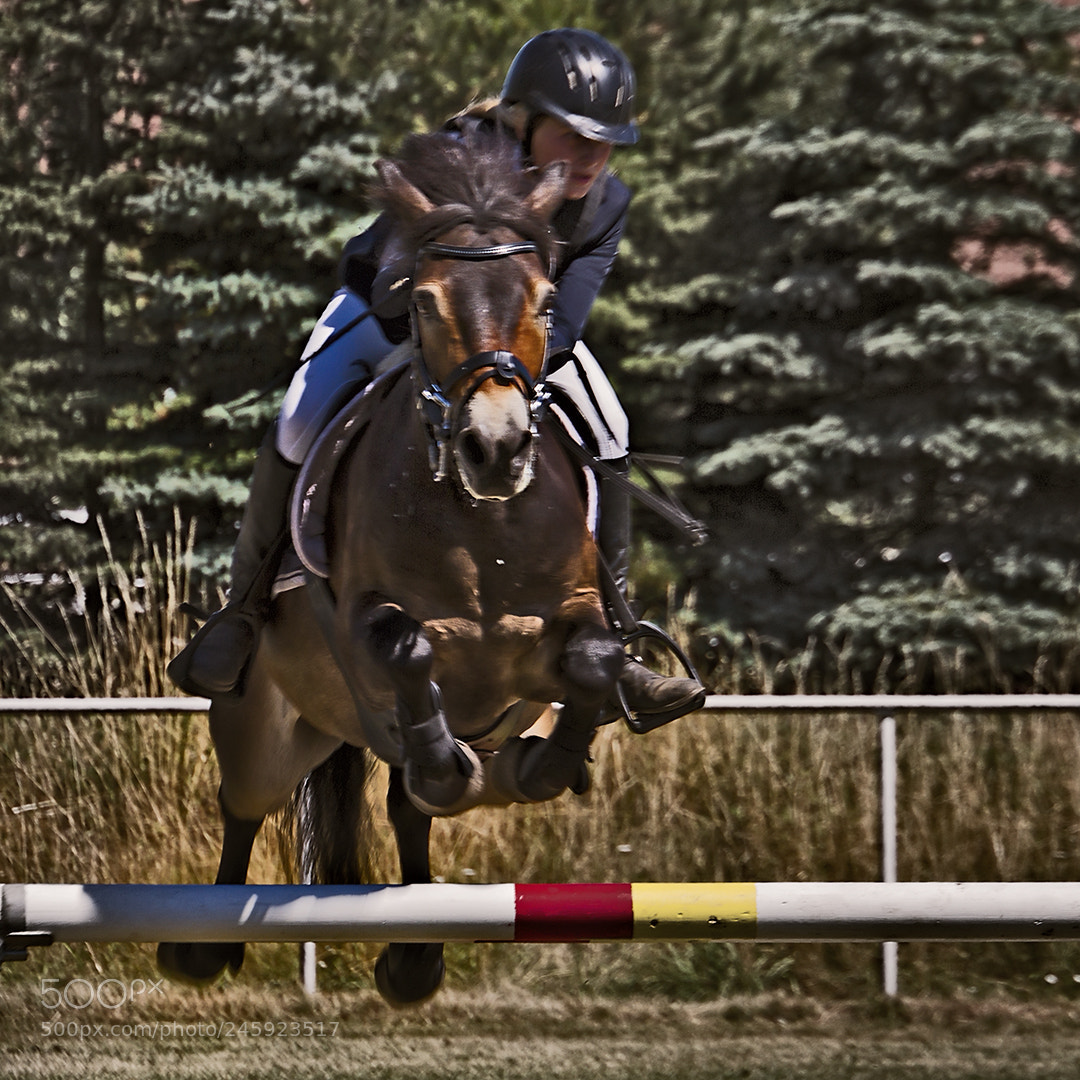 Canon EOS 7D sample photo. Horse jumping photography
