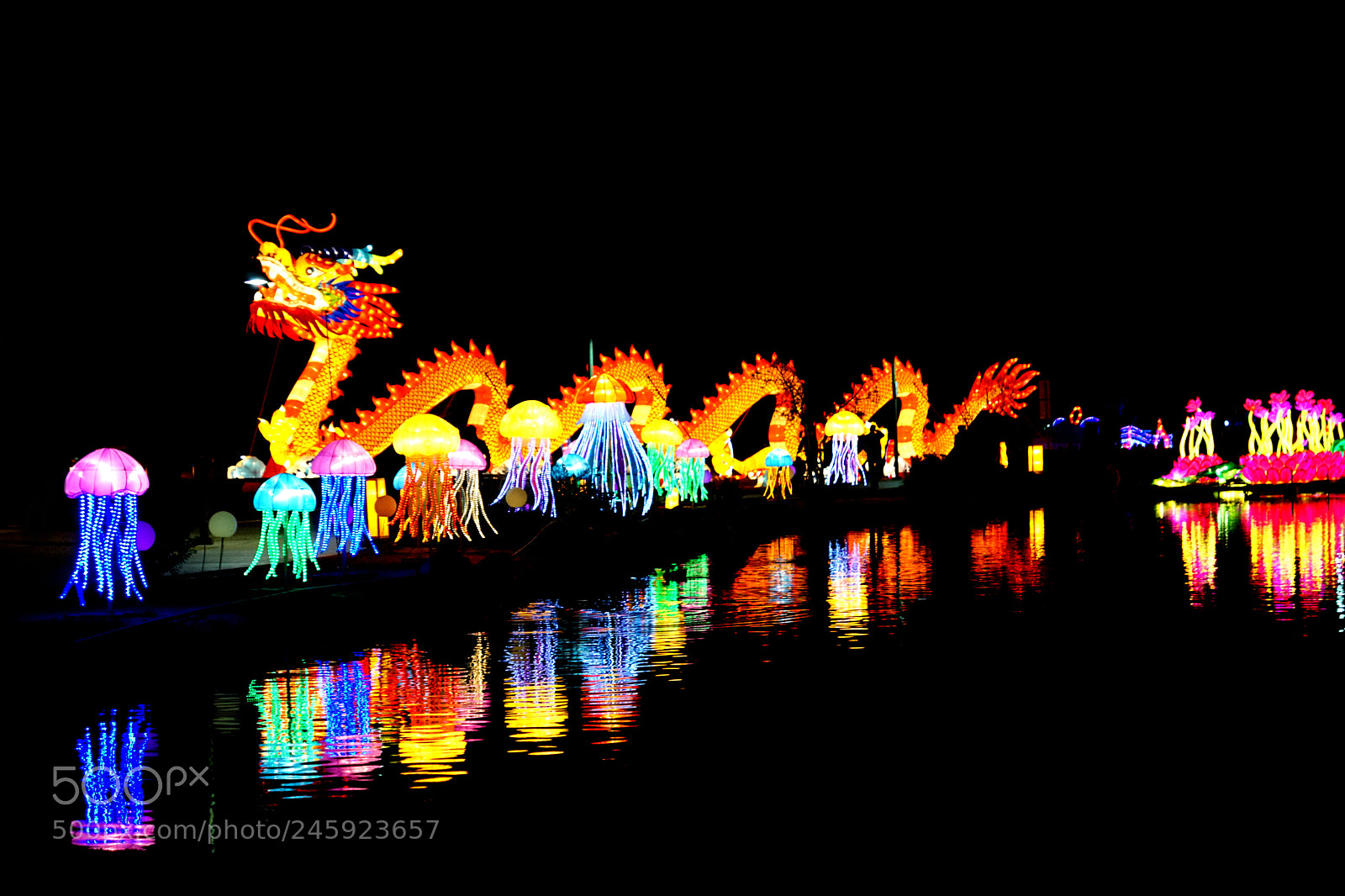 Sony ILCA-77M2 sample photo. 28.jpg photography