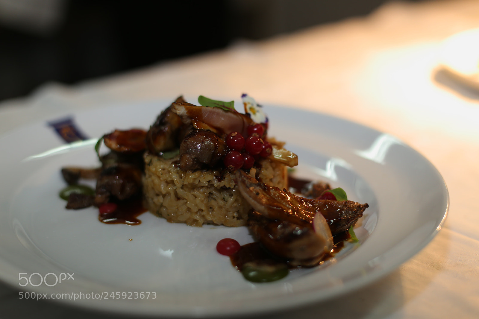 Canon EOS 6D + Canon EF 50mm F1.4 USM sample photo. Perdiz .... photography