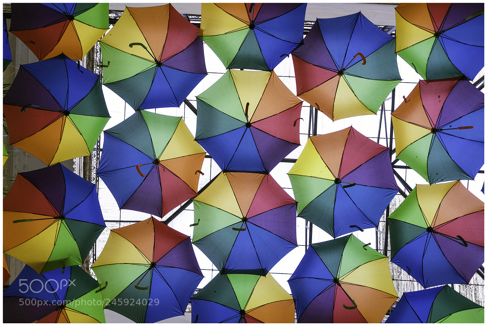 Sony a7 sample photo. 24131050927.jpg photography