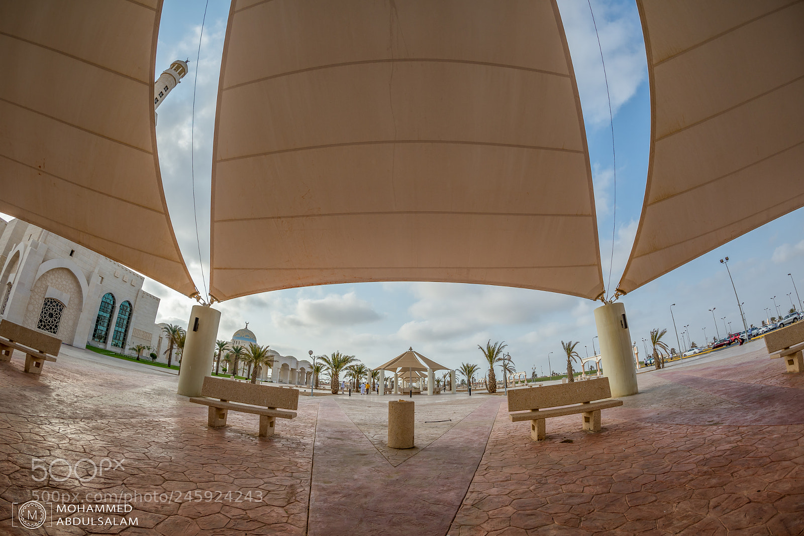 Nikon D610 sample photo. Mosque photography
