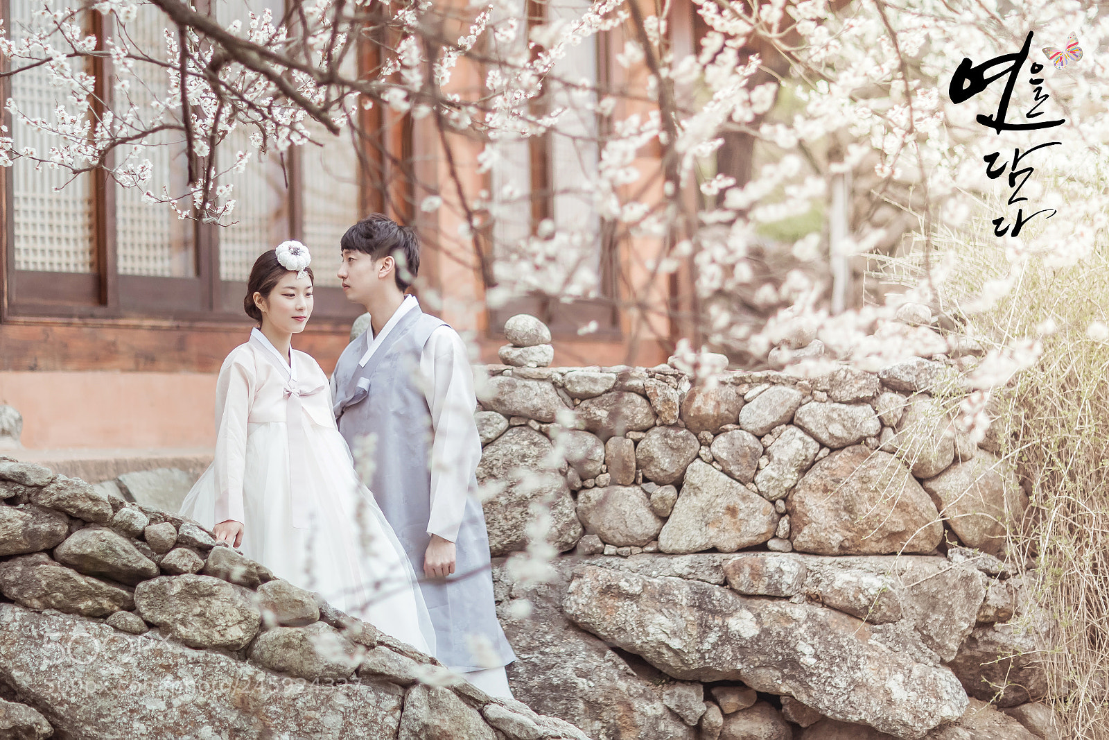 Canon EOS-1D X Mark II sample photo. 광양 매화 마을 plum blossom photography