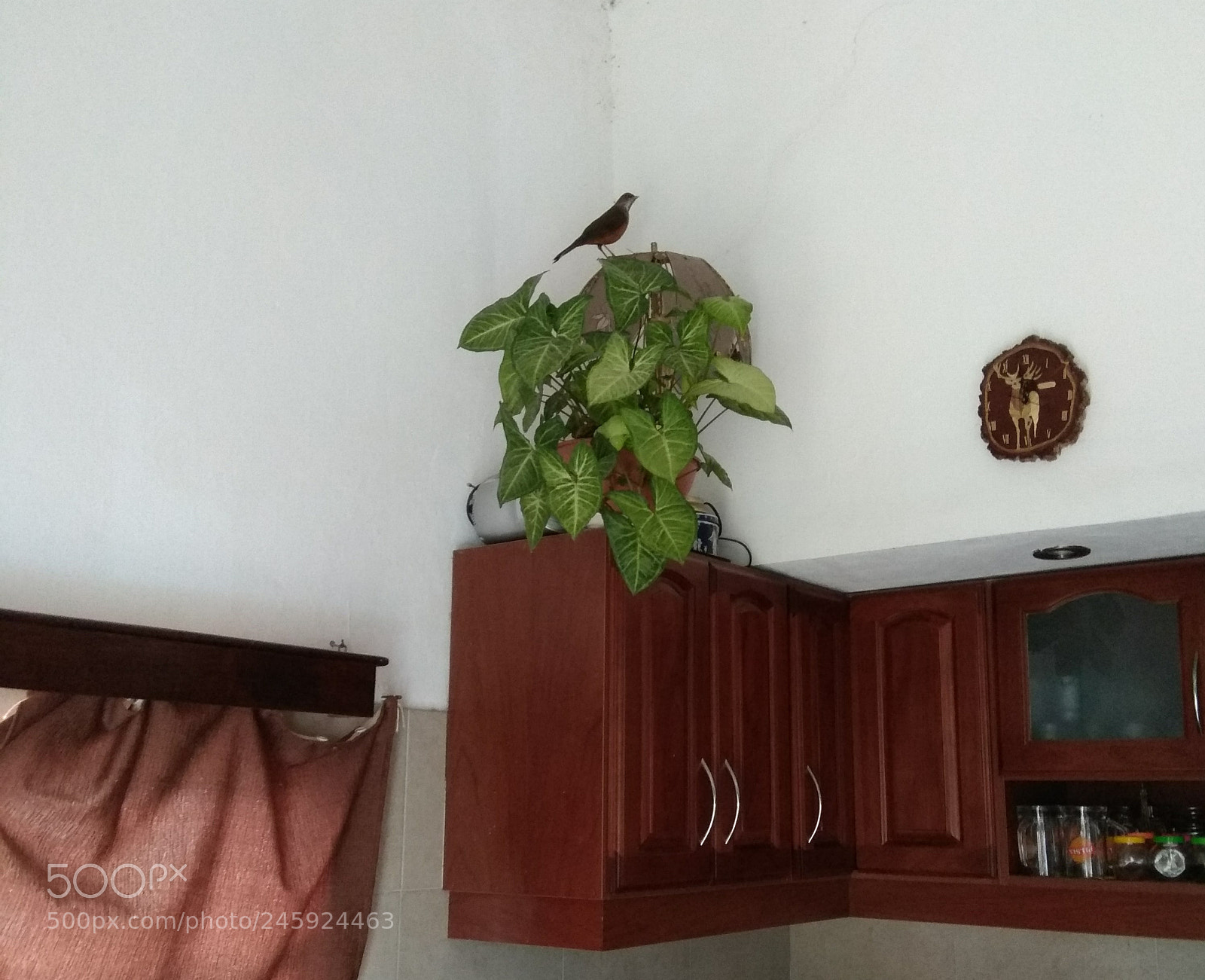 Xiaomi Redmi Note 4 sample photo. Untitled photography