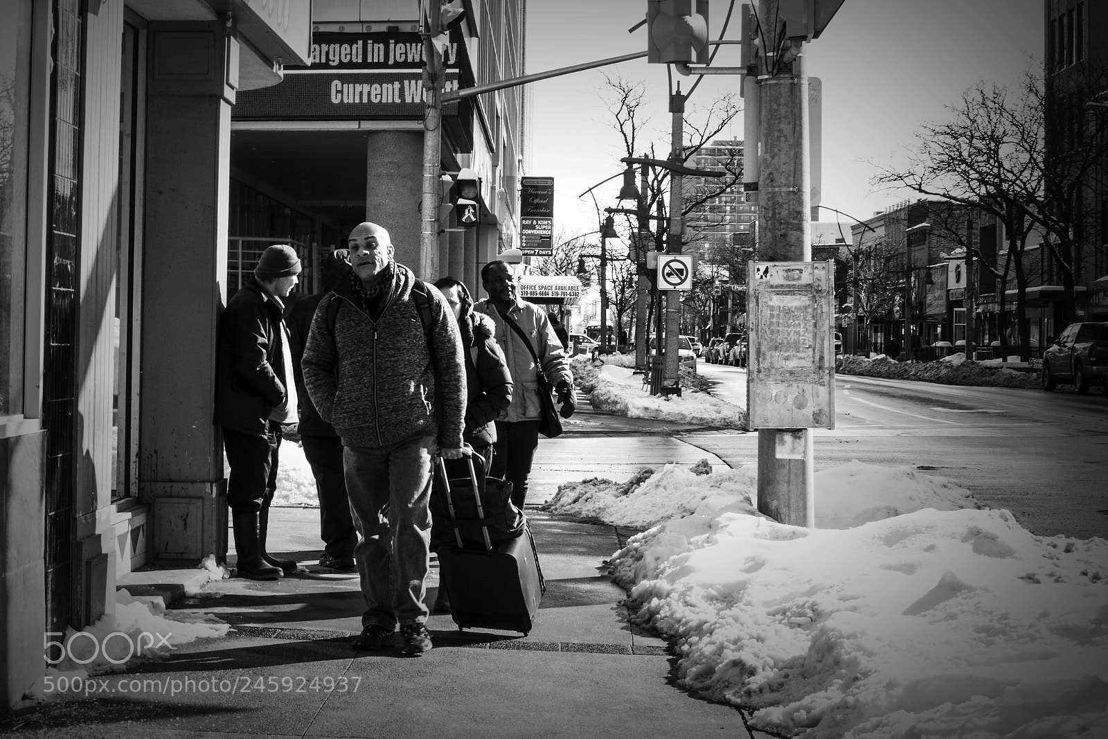 Nikon D500 sample photo. Leader of the pack photography