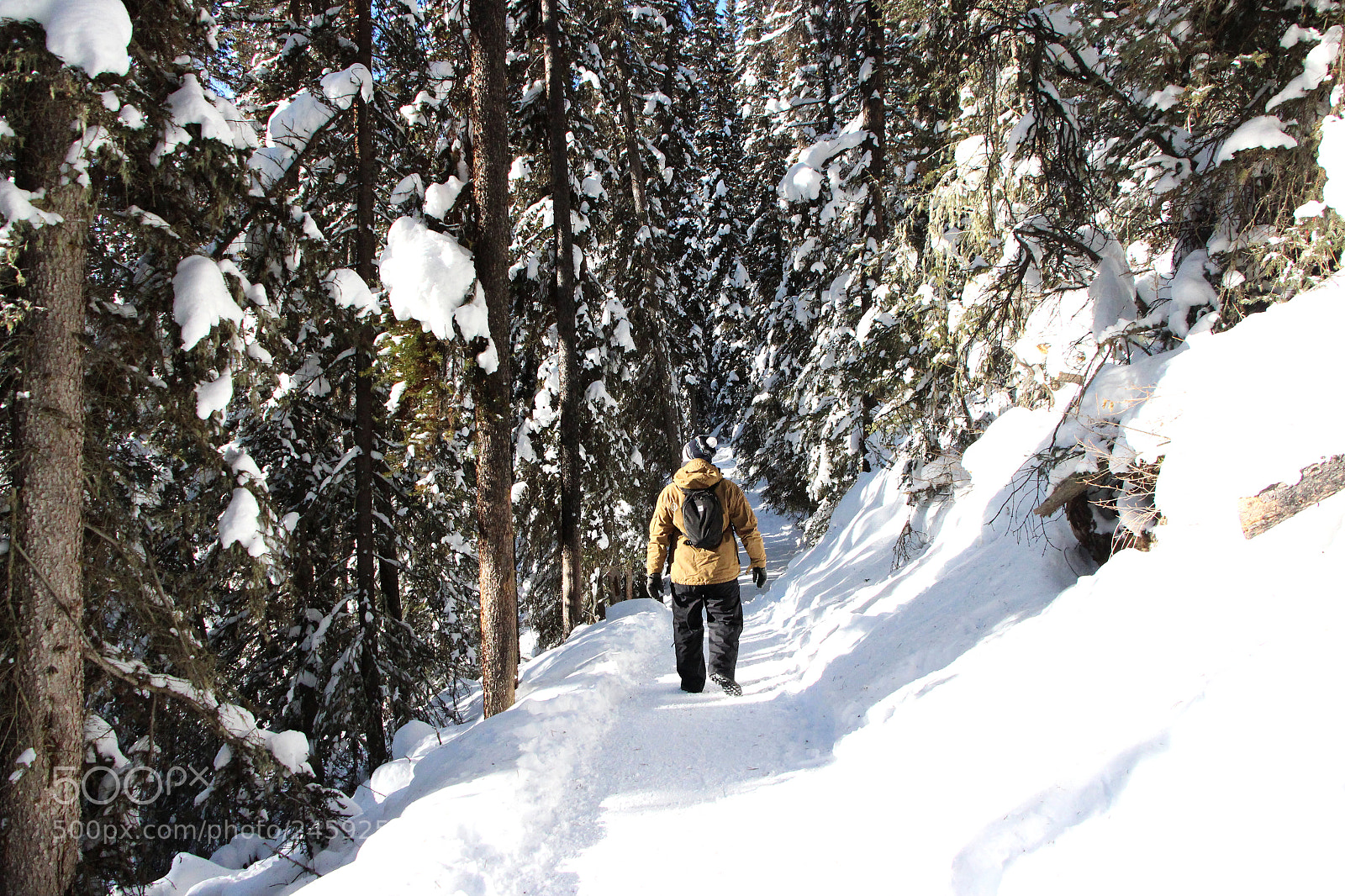 Canon EOS 650D (EOS Rebel T4i / EOS Kiss X6i) sample photo. Alberta winter hikes photography