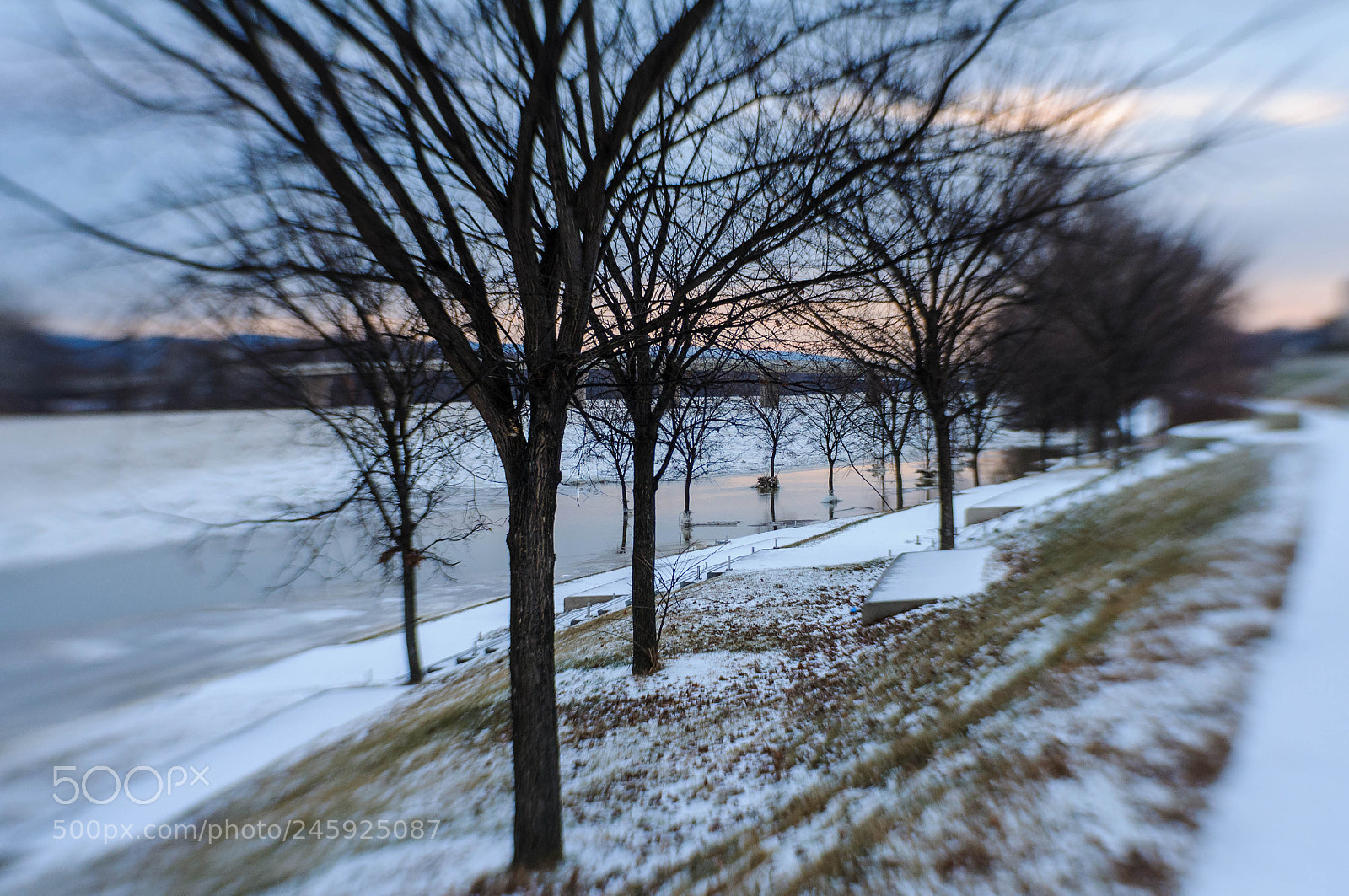 Nikon D300 sample photo. Flooded parkway photography