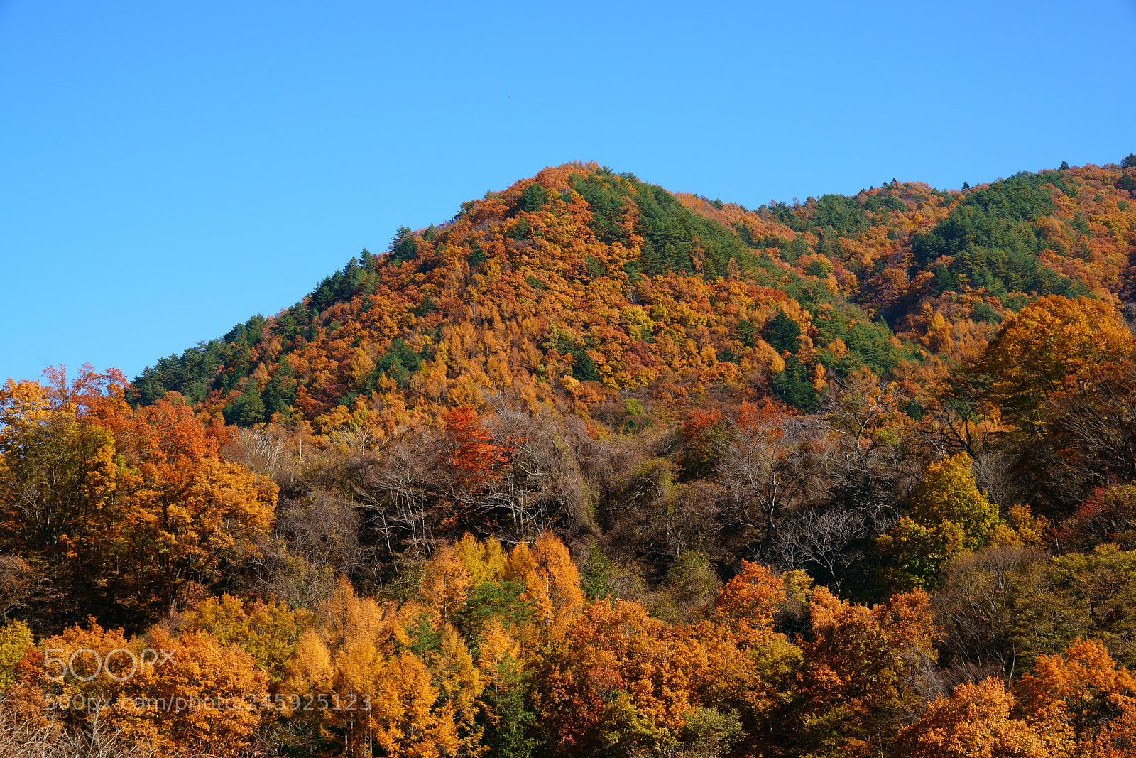 Sony a7R II sample photo. Ontake photography