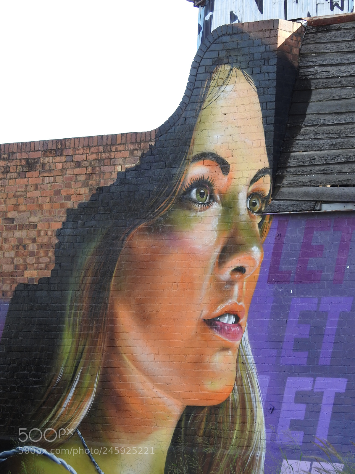 Nikon Coolpix P900 sample photo. Street art 2 photography
