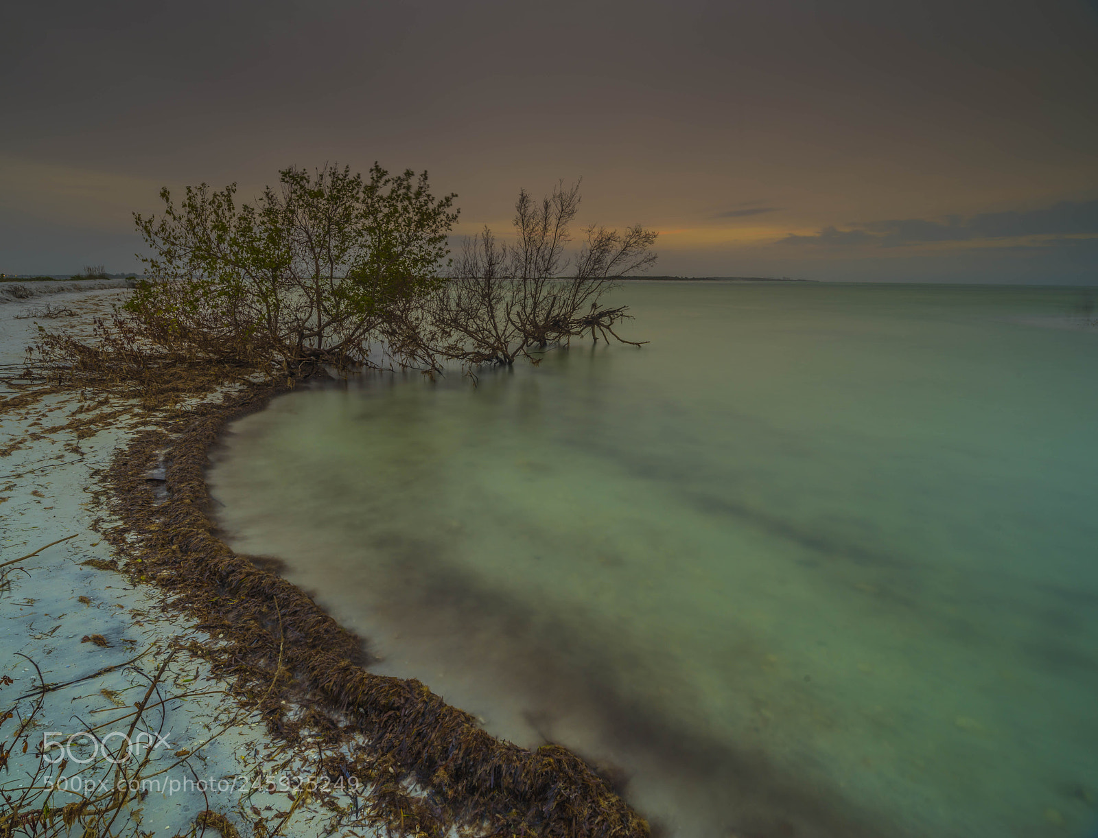 Pentax K-1 sample photo. Last light... photography