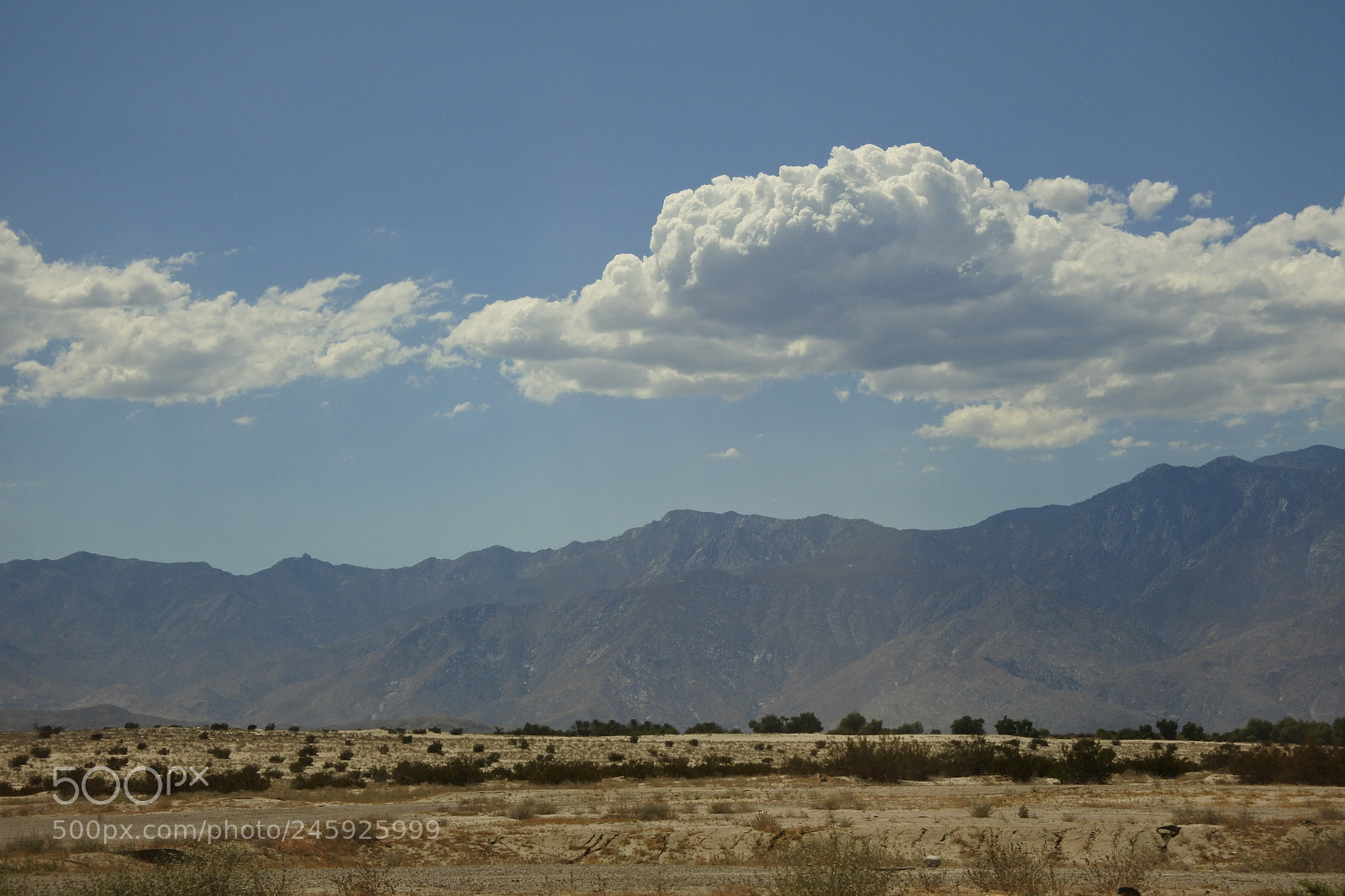 Nikon 1 J5 sample photo. Middle of nowhere photography