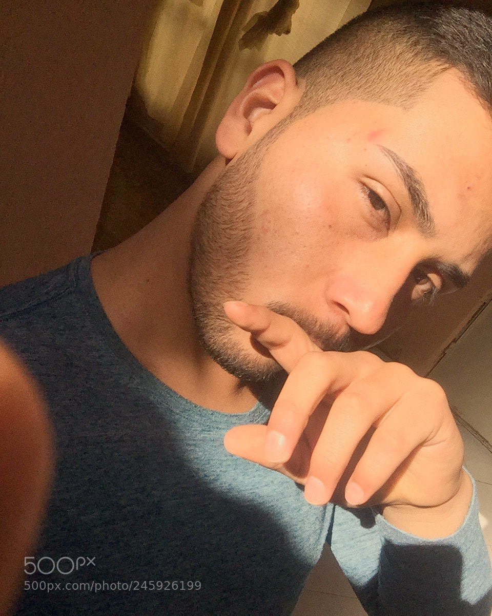 Apple iPhone 6 sample photo. Untitled photography