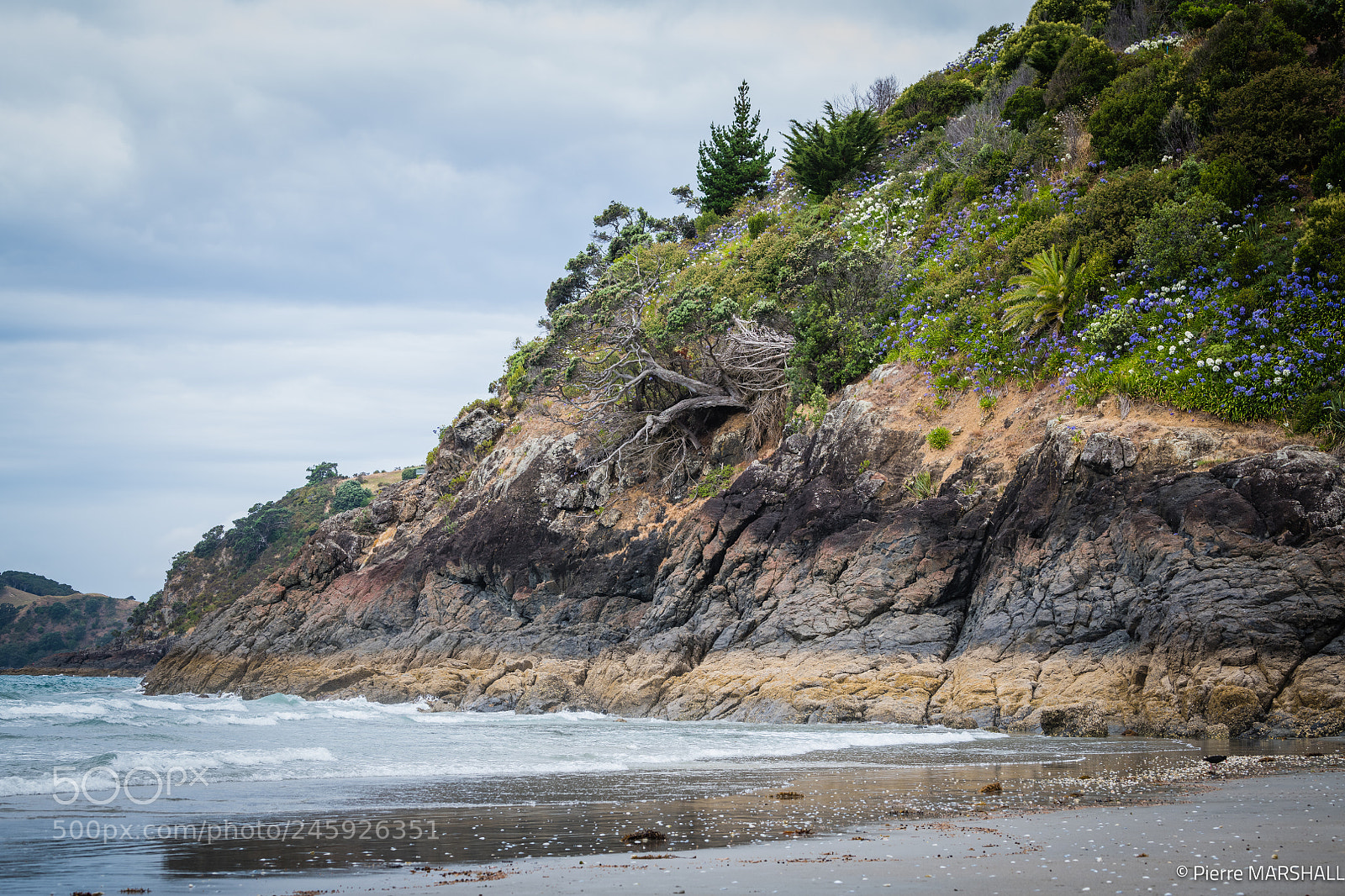 Nikon D850 sample photo. Oystercatcher on onetangi beach photography