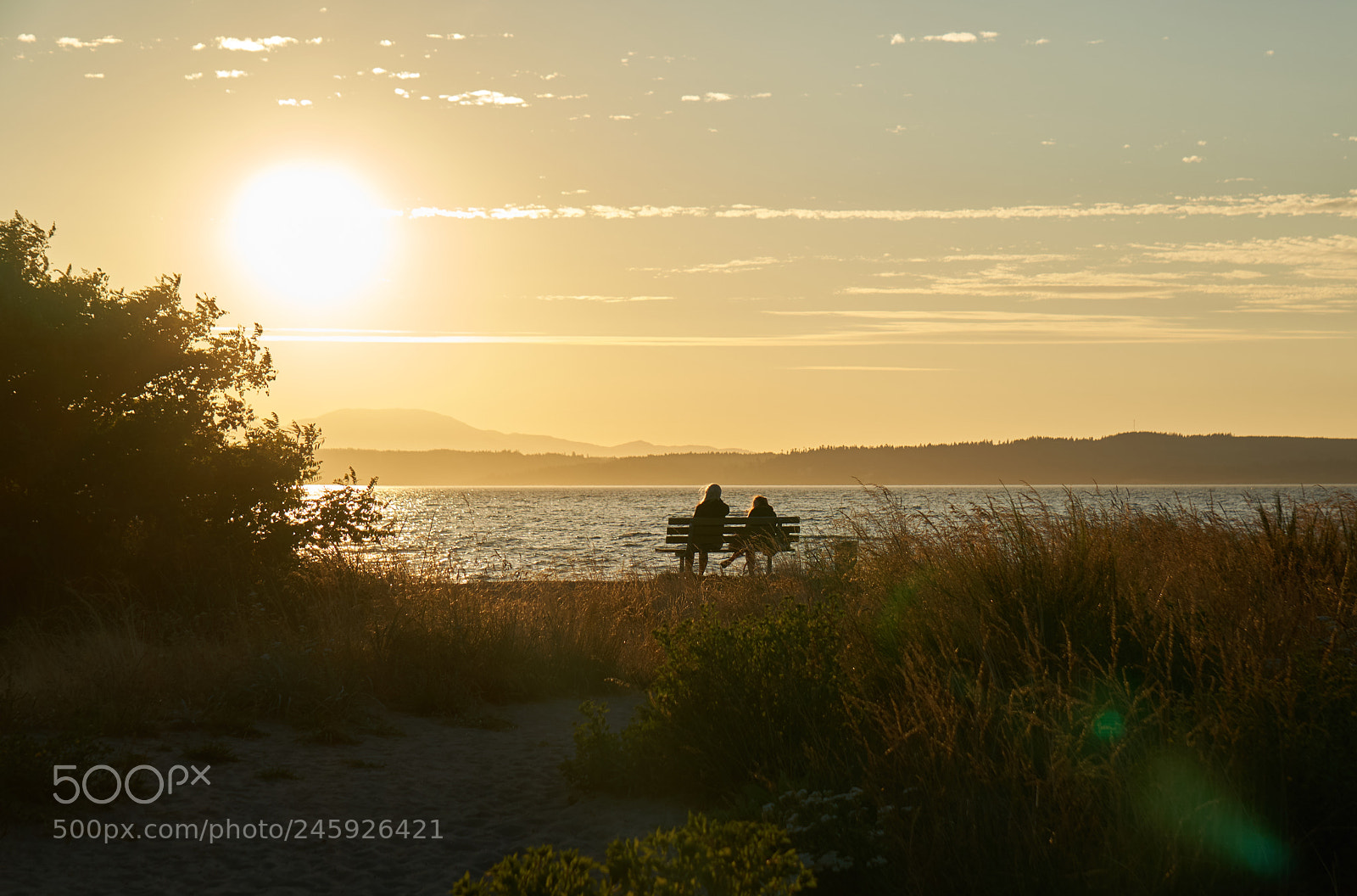 Sony a6300 sample photo. Peaceful golden gardens sunset photography