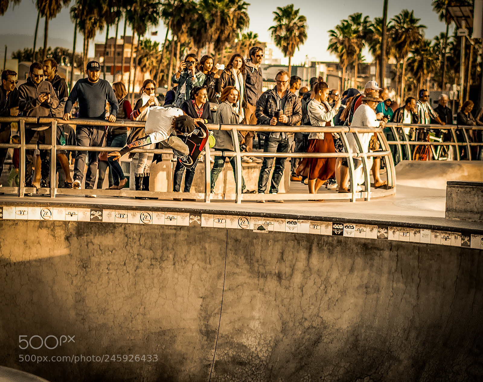 Sony a7 II sample photo. Venice bowl photography