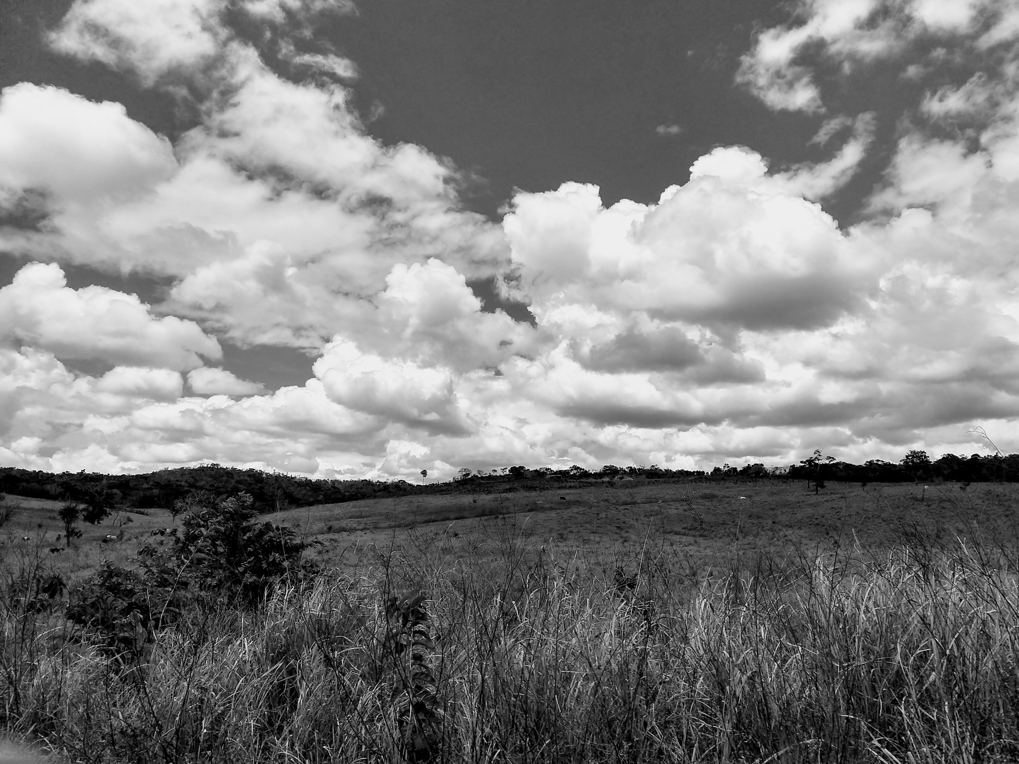 Motorola moto x4 sample photo. Capela/se, brazil. photography