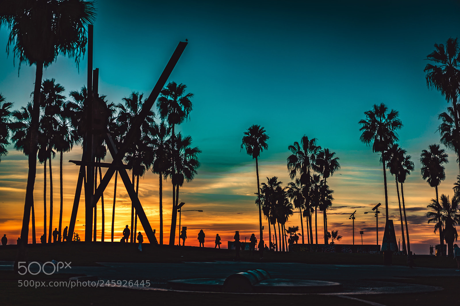 Sony a7 II sample photo. V for venice photography