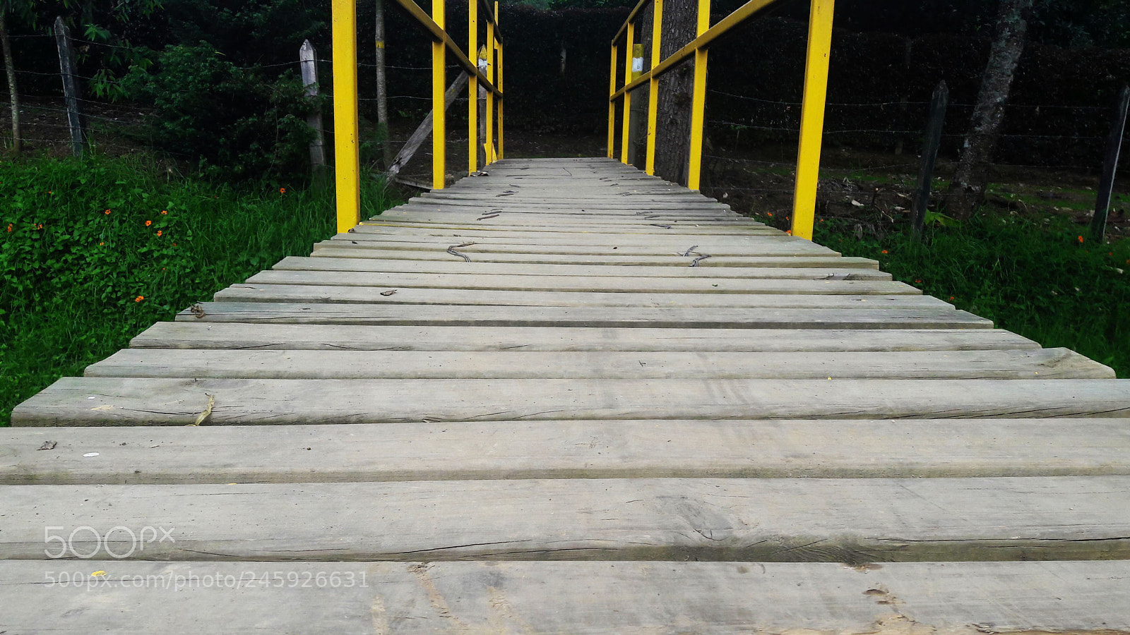 Samsung Galaxy A5(2016) sample photo. Bridge photography