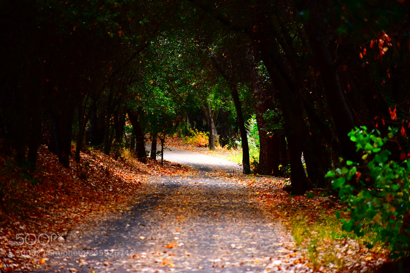 Nikon D3400 sample photo. Untitled photography