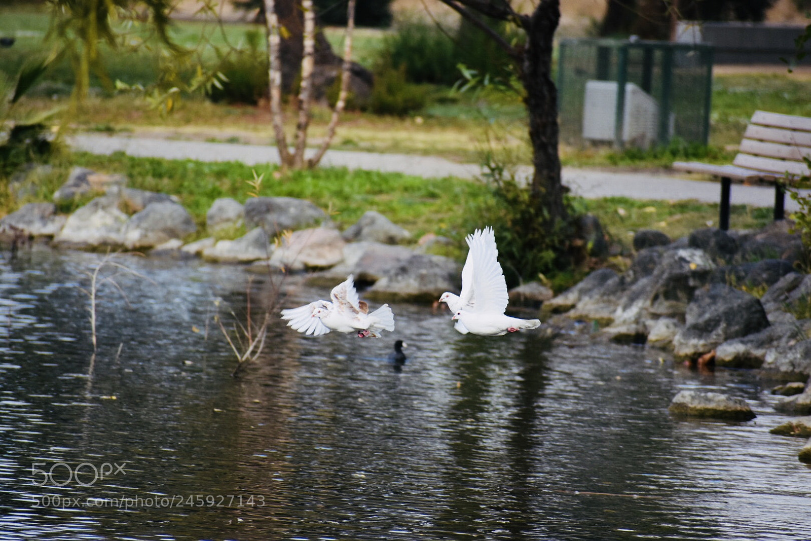 Nikon D3400 sample photo. Untitled photography
