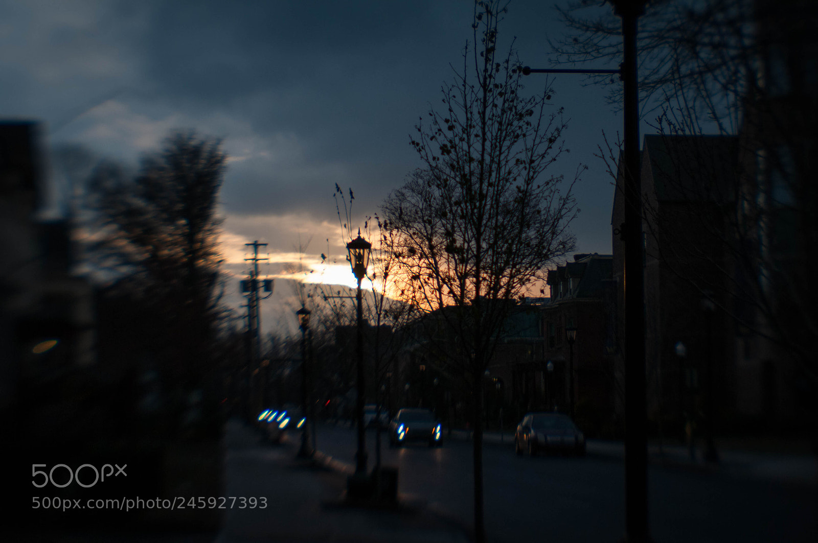 Nikon D300 sample photo. Quiet street photography