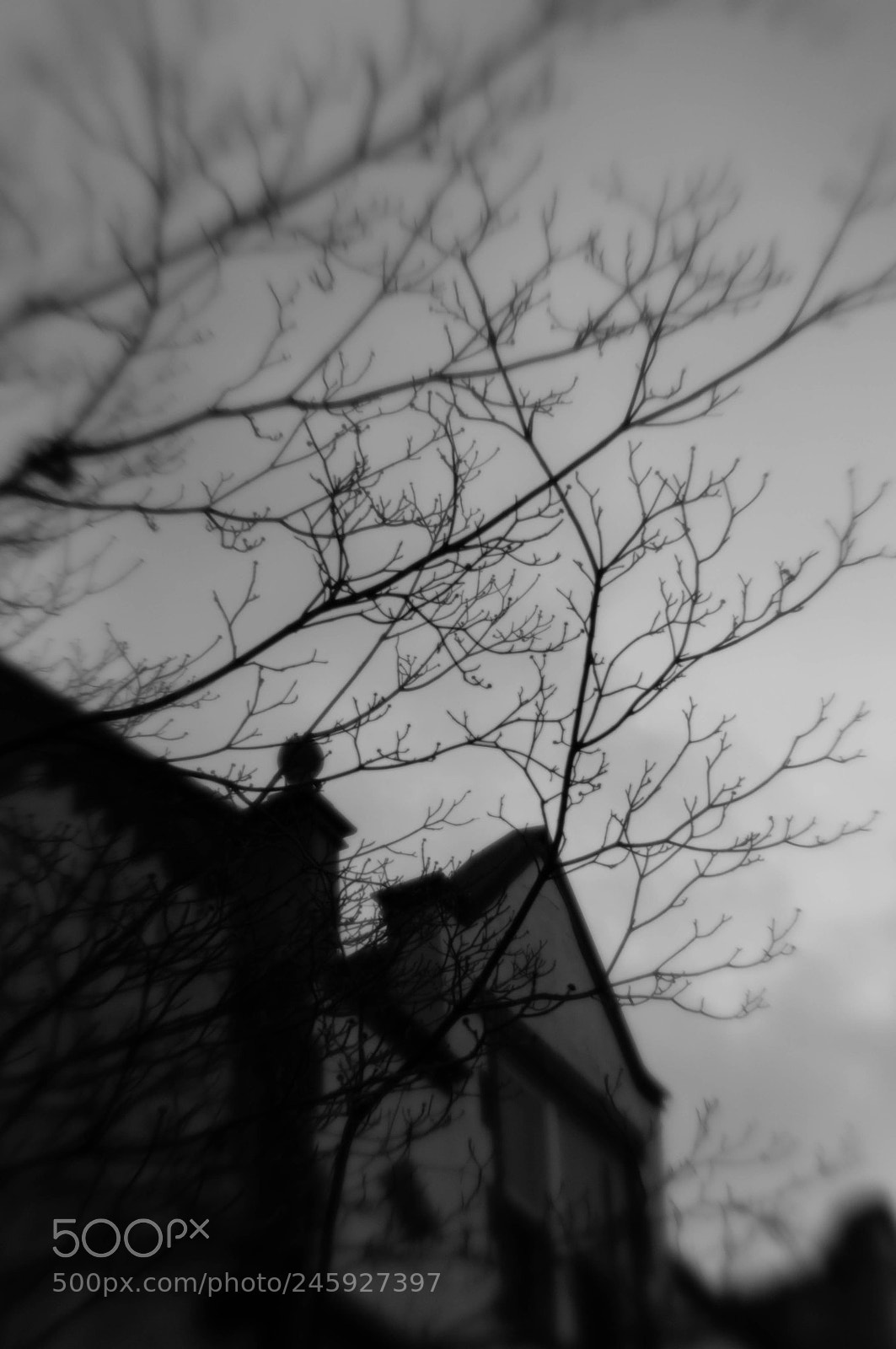 Nikon D300 sample photo. Looks haunted photography