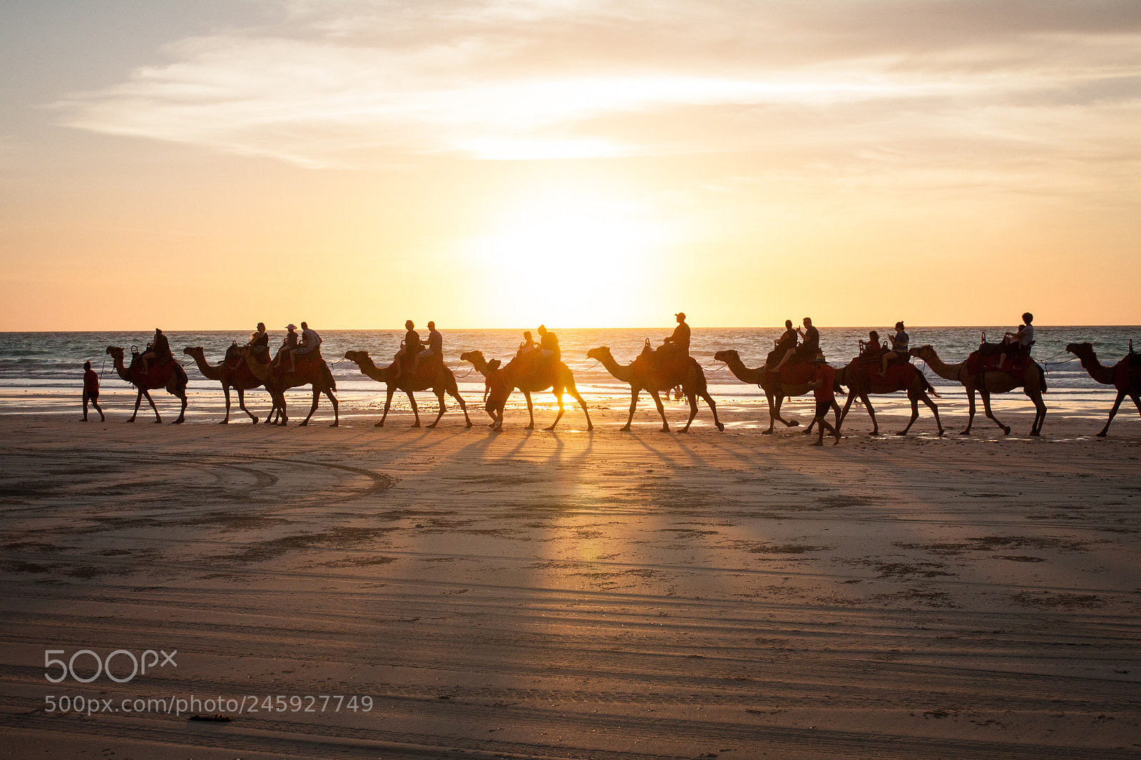 Canon EOS 500D (EOS Rebel T1i / EOS Kiss X3) sample photo. Cable beach camel train photography