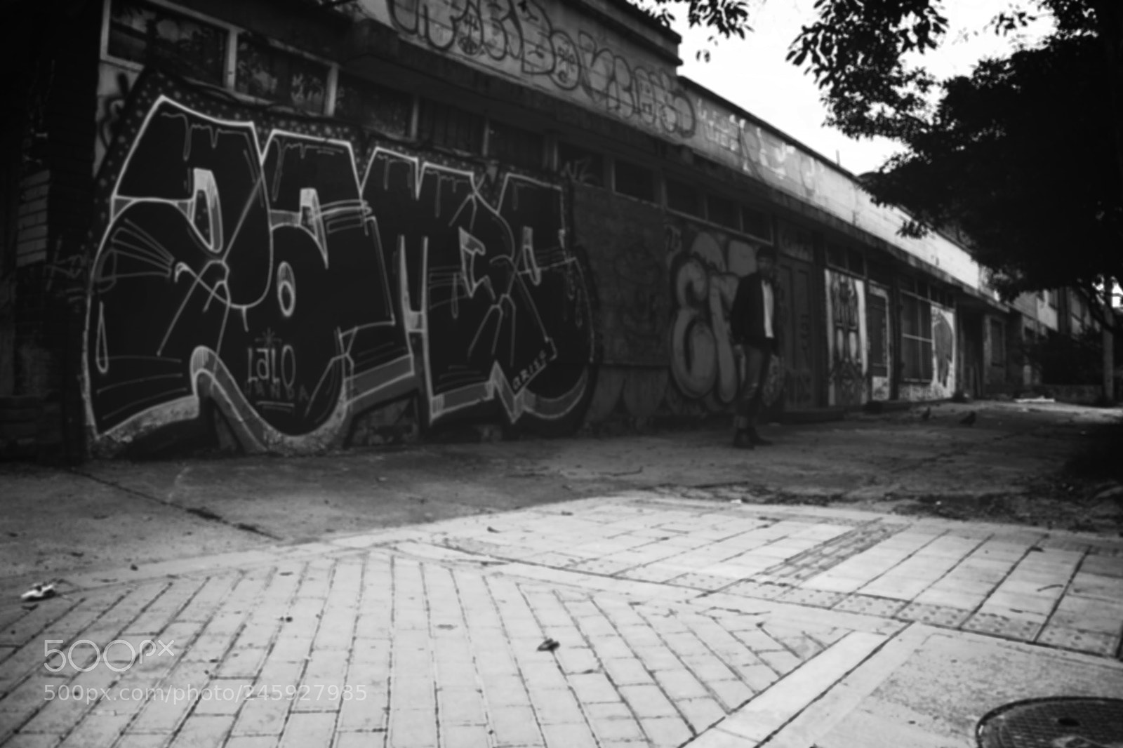 Nikon D7100 sample photo. X photography