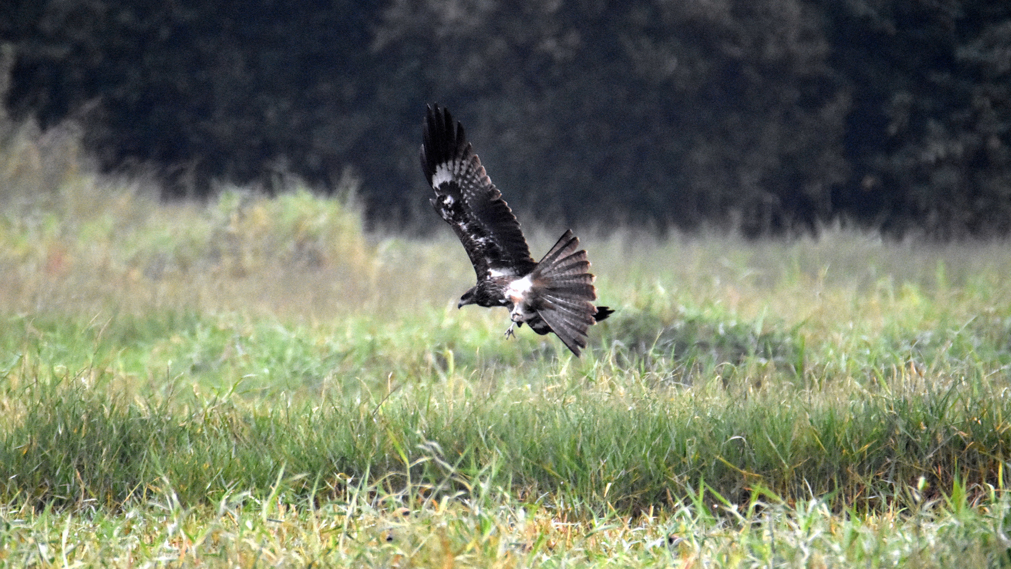 Nikon D7200 sample photo. Flight photography