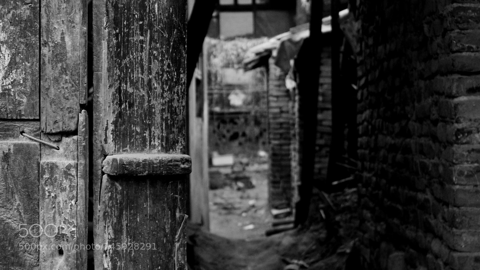 Canon EOS 650D (EOS Rebel T4i / EOS Kiss X6i) sample photo. Untitled photography