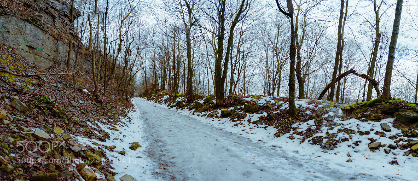 Nikon D5200 sample photo. Untitled_ice_pathway photography